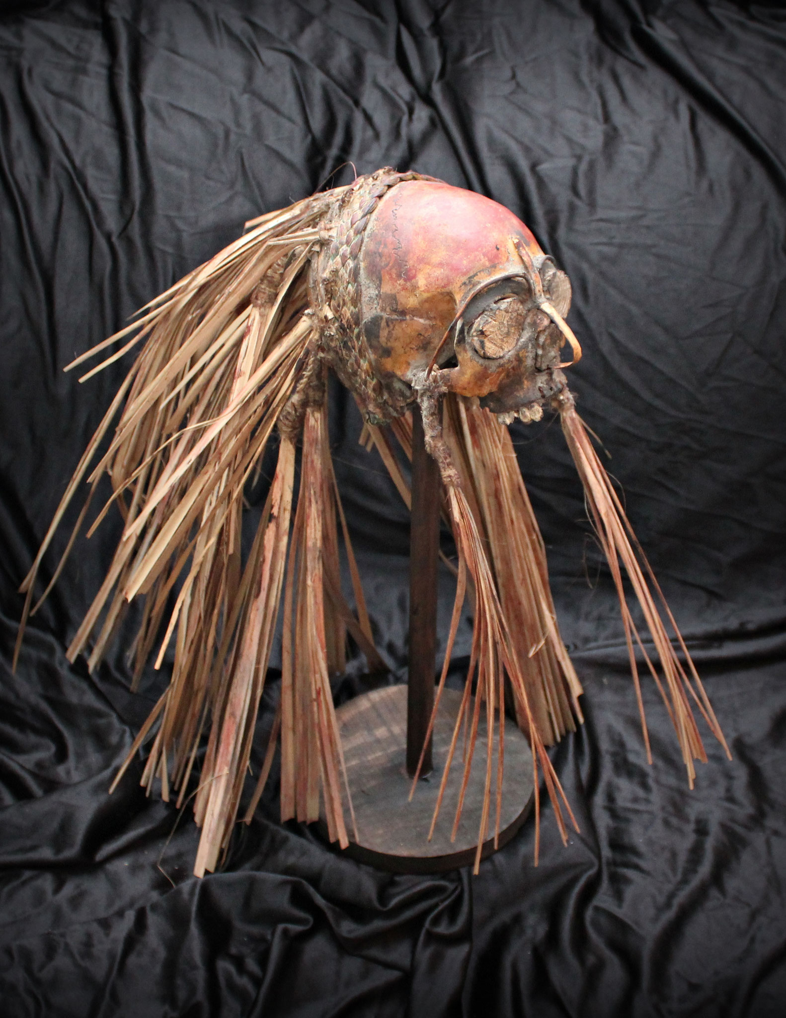 Marind Anim trophy skull