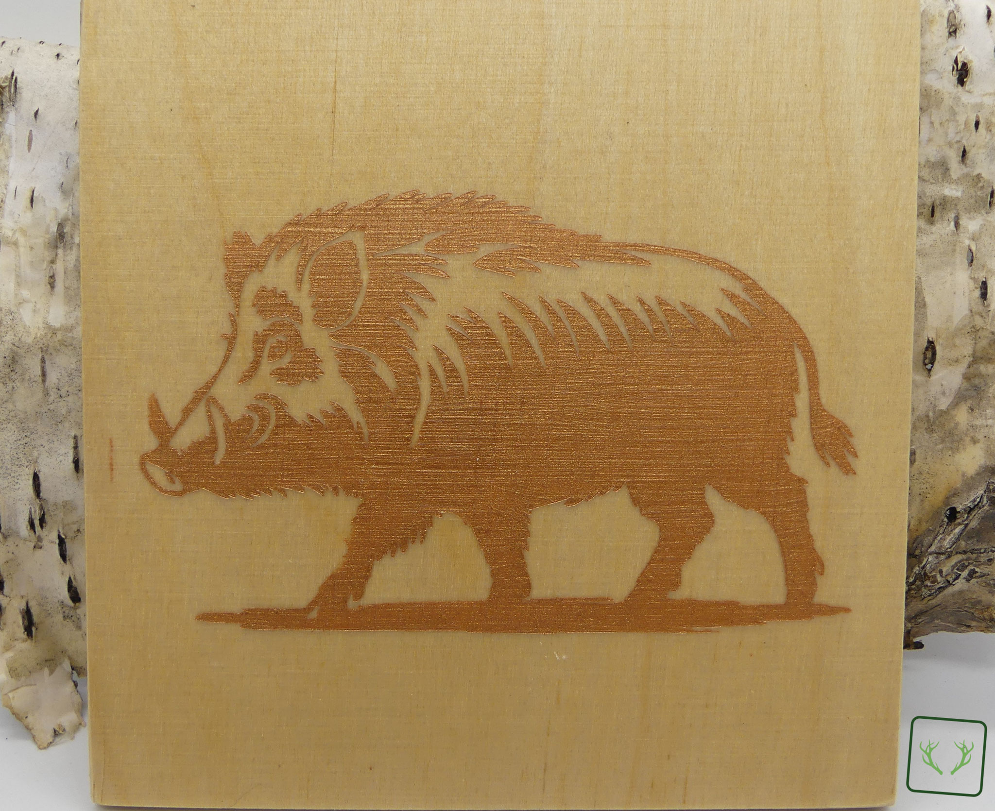 HJ_002_Wildschwein