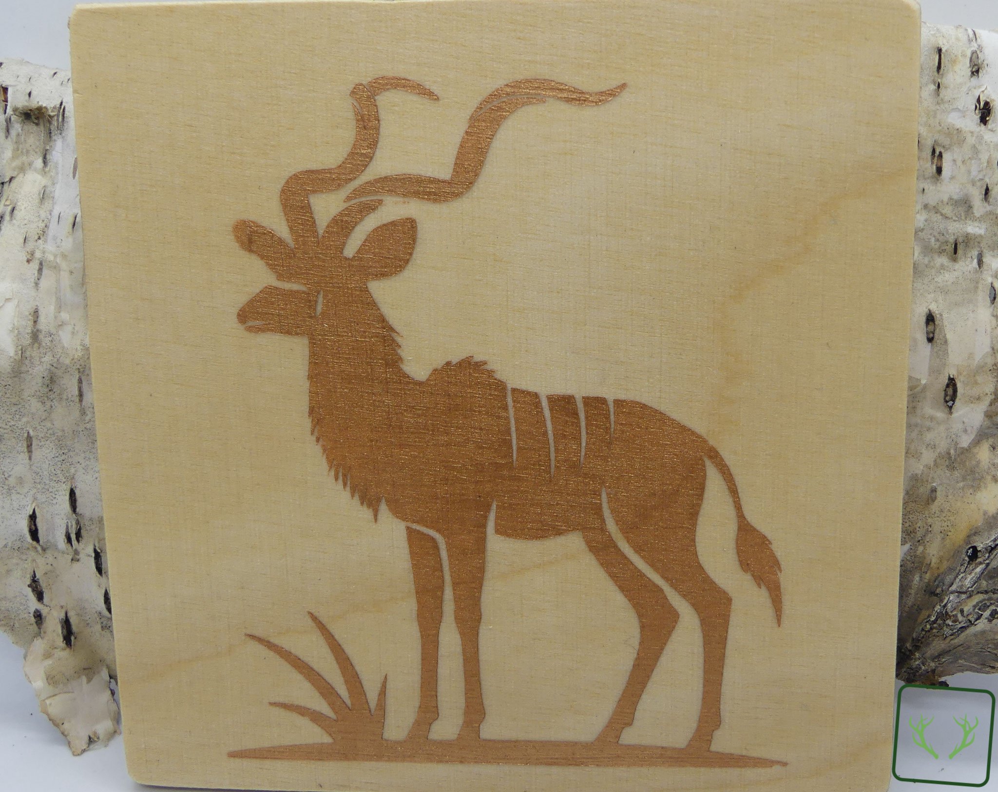 OoA_005_Kudu