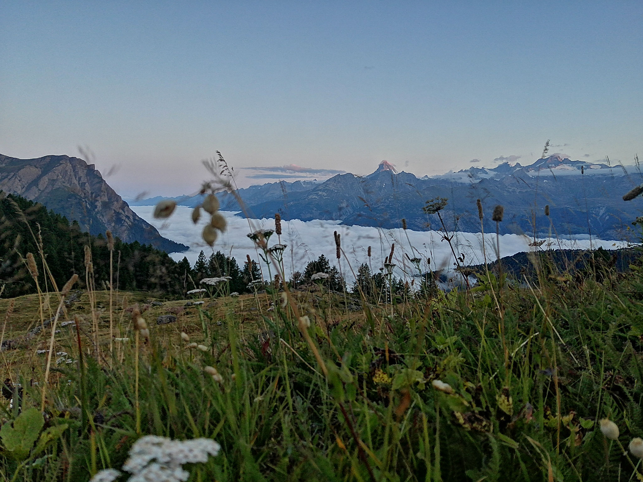 Nebelmeer über dem Rhonetal