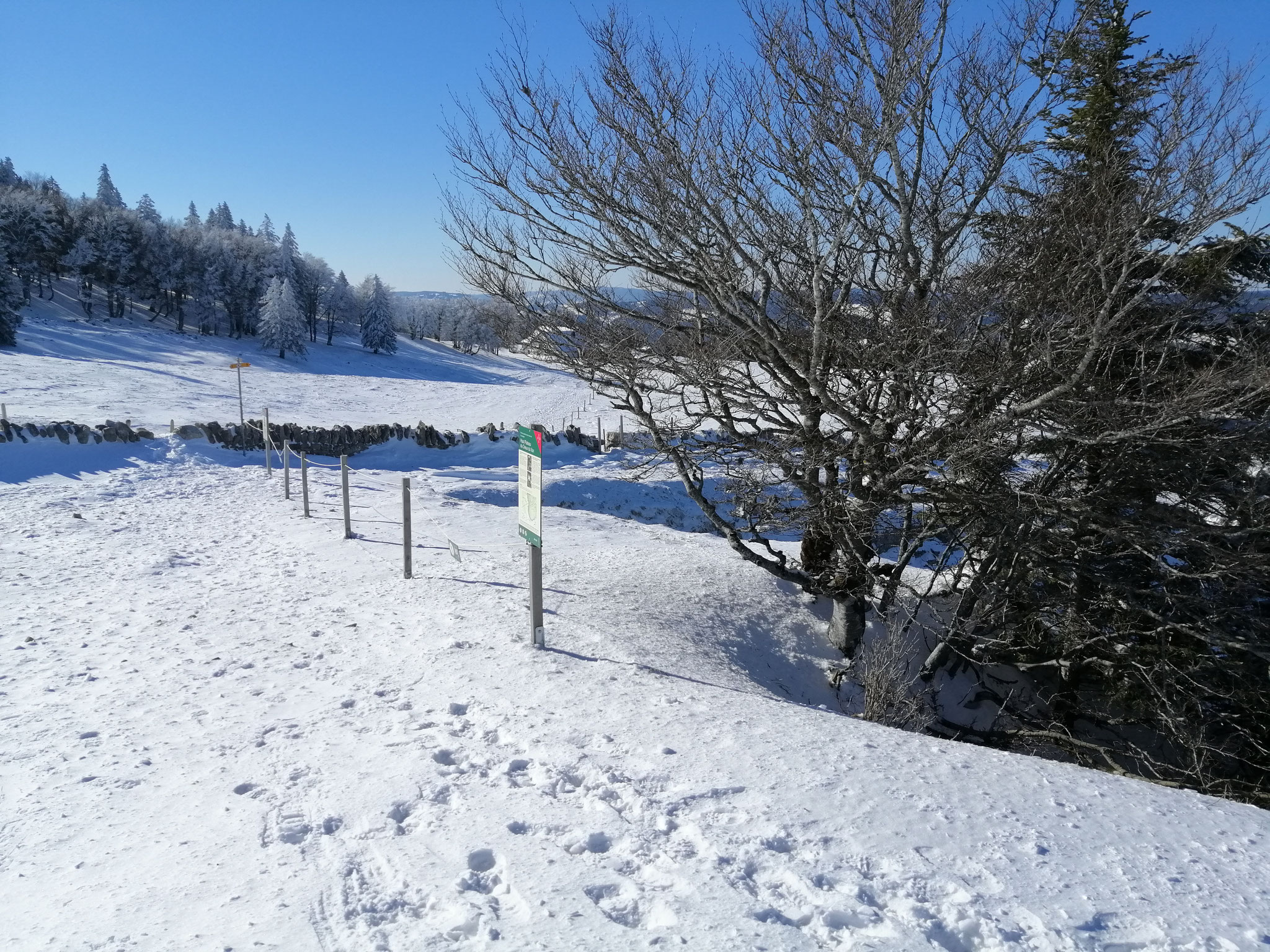 Absperrung am Creux-du-Van zum Schutz der Pflanzen