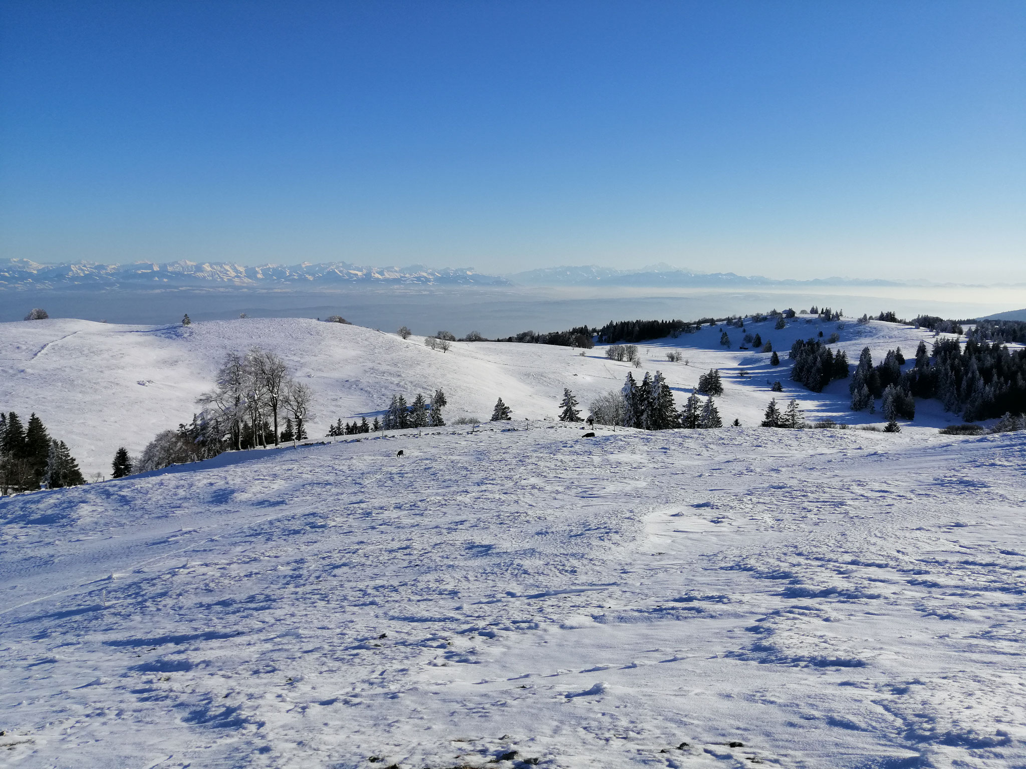 Ausblick über das Mittelland / Seeland