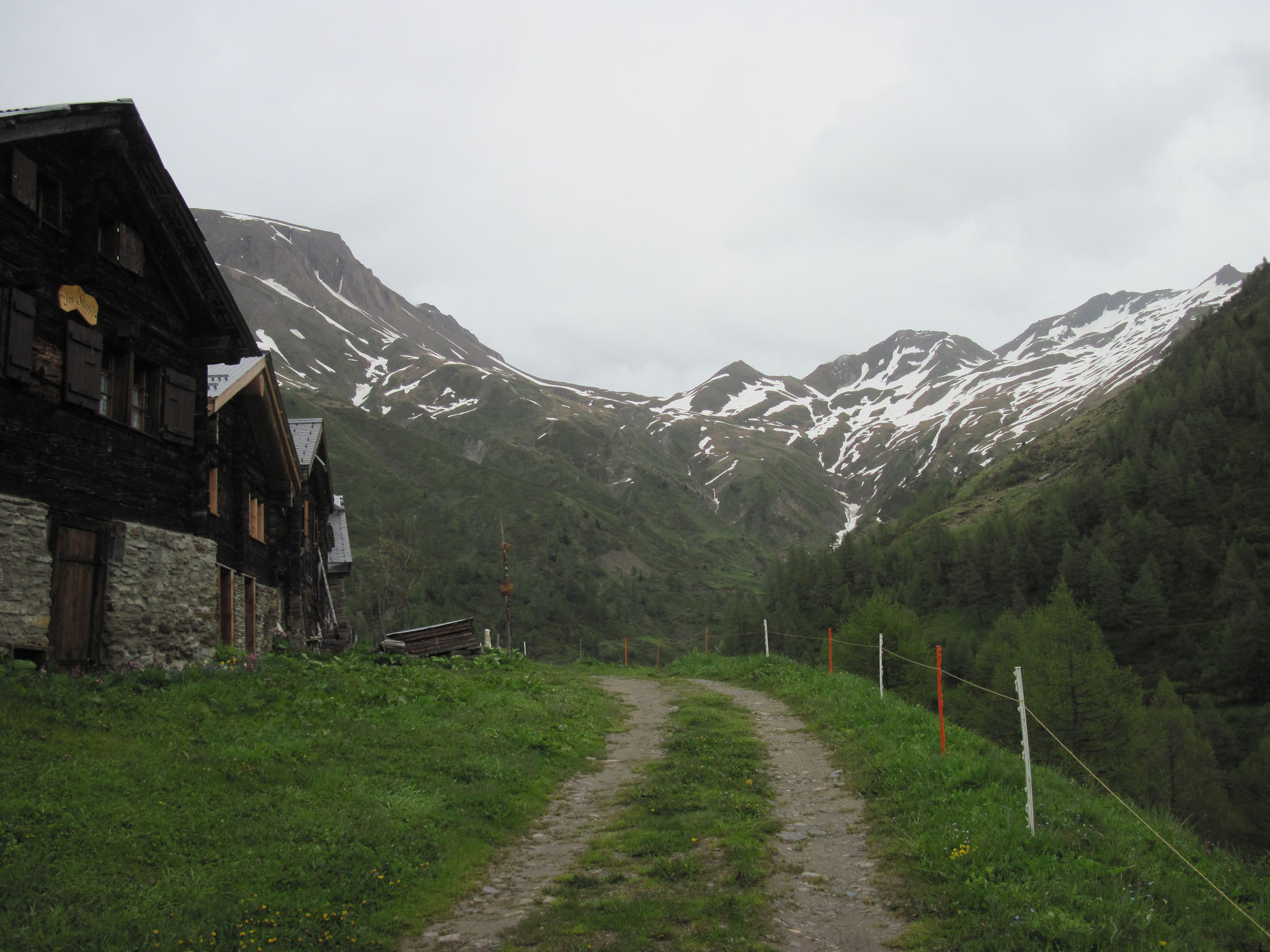 Ausblick von der Stafelalp zum Saflischpass