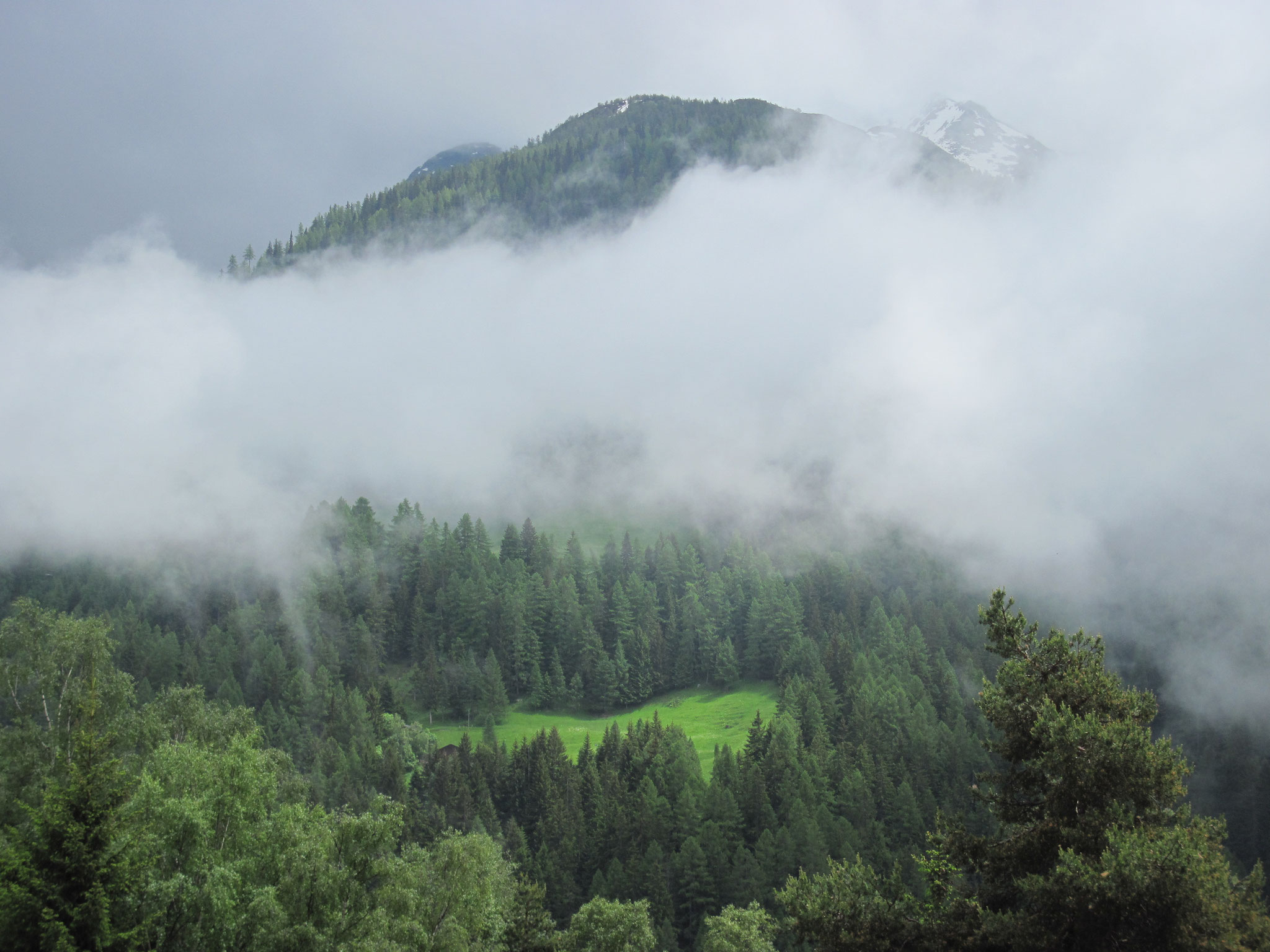 Die Region Ganter im Nebel und Regen...doch auch da gibt es viel Schönes zu bestaunen...