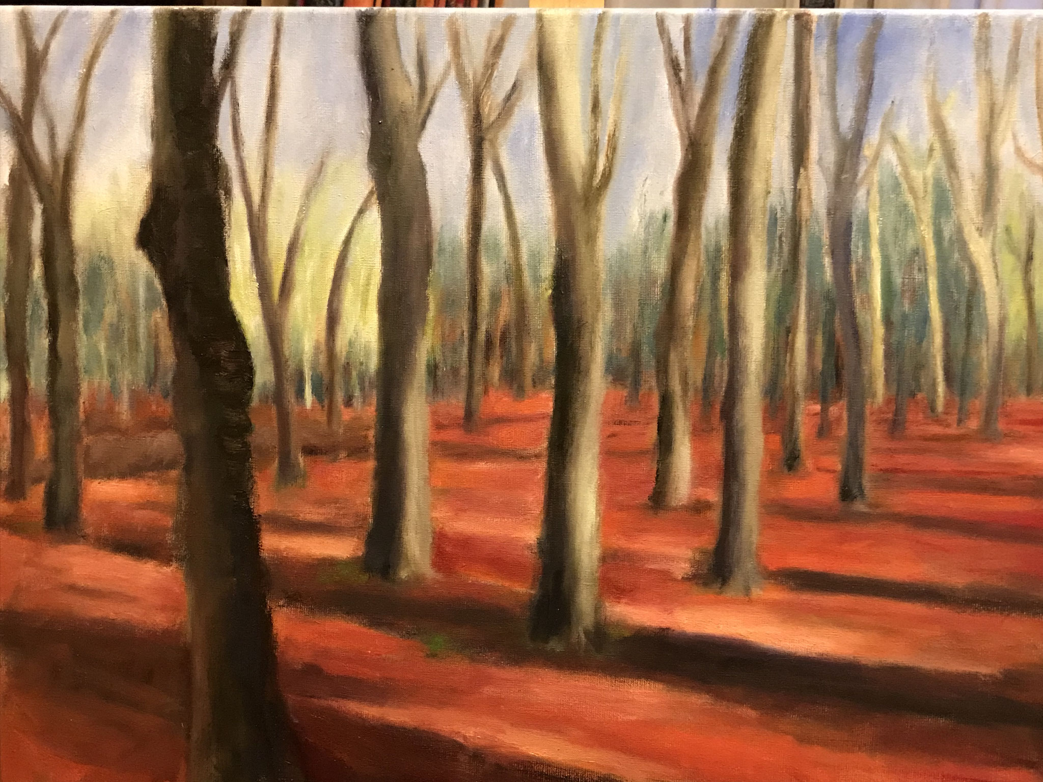 Cronebos. 60x80cm. olie op linnen. 