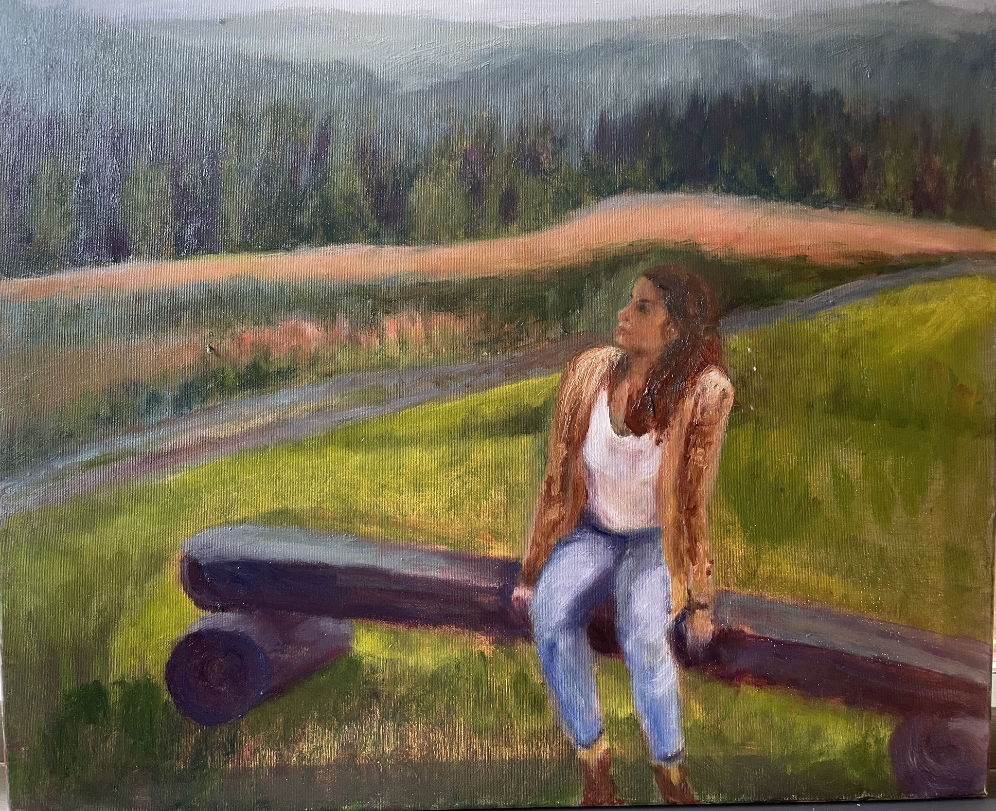 Blik naar de bergen. 50x60cm. olie op doek. 