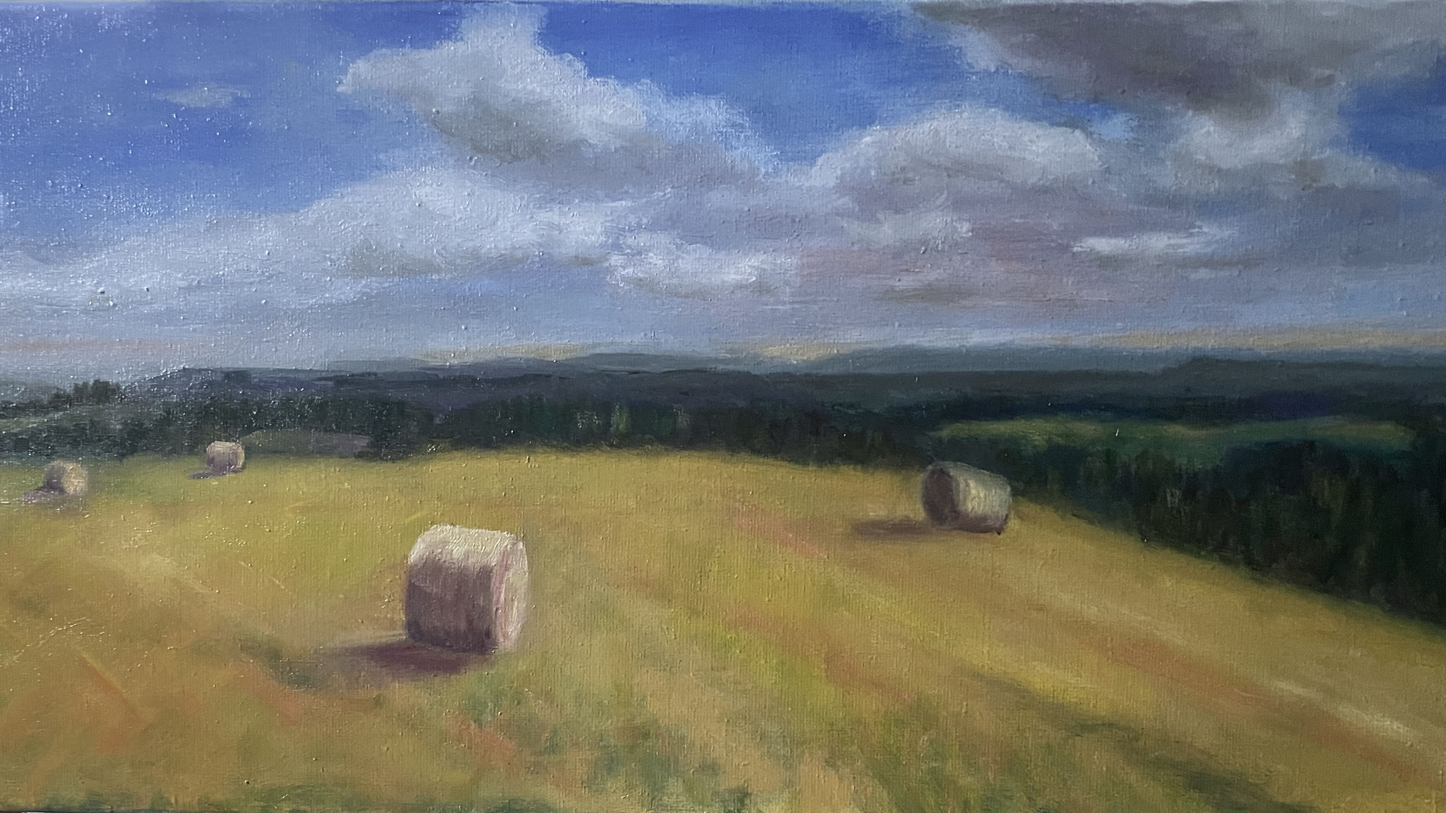 Adelaarsgebergte met hooibalen. 40x80cm. olie op linnen.