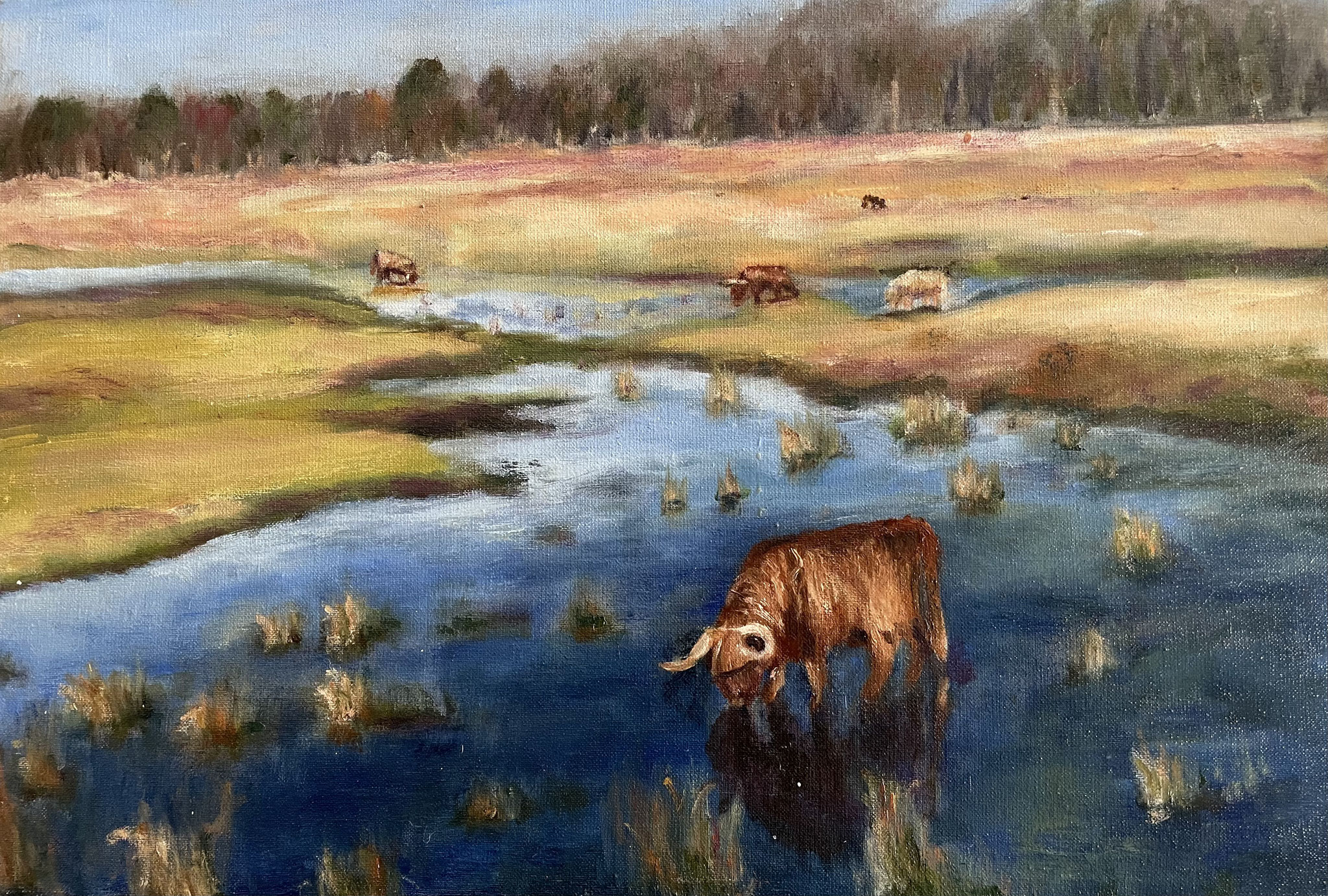 Zuiderheide. 40x60cm. olie op doek. 