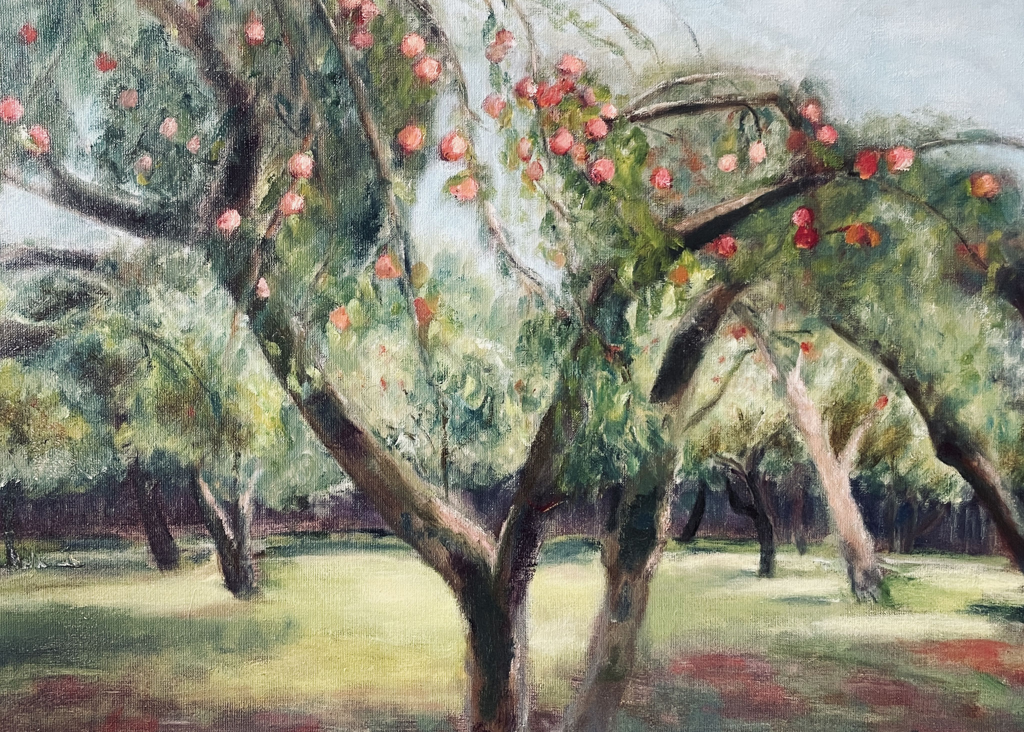 Appelboomgaard. 60x80 cm. olie op doek.