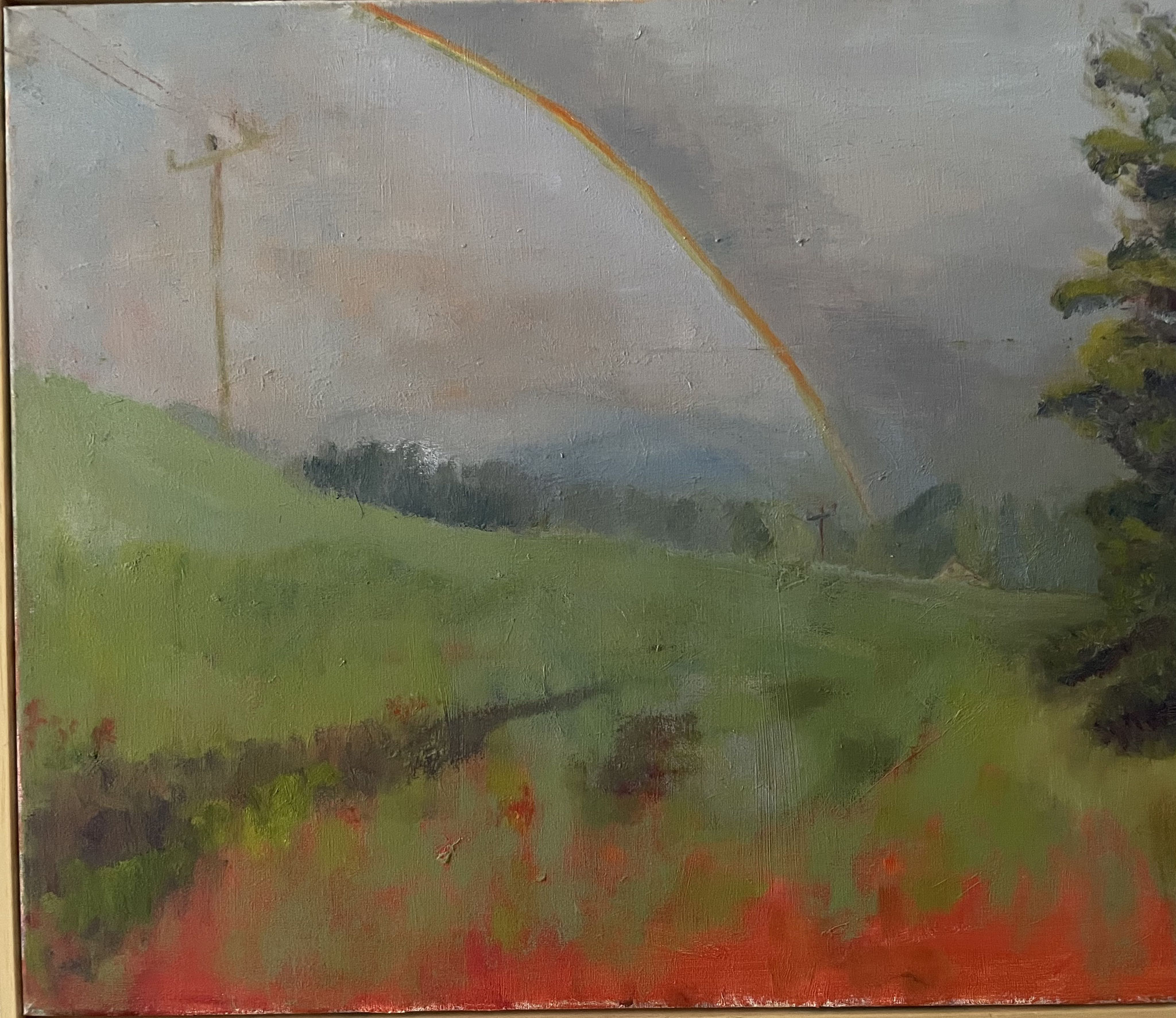 Regenboog. ntk
