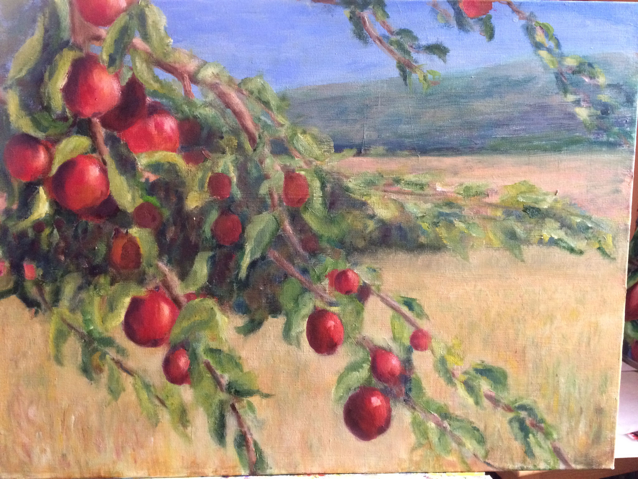 Appelboom in berglandschap. 60x80cm olie op linnen. 500 euro