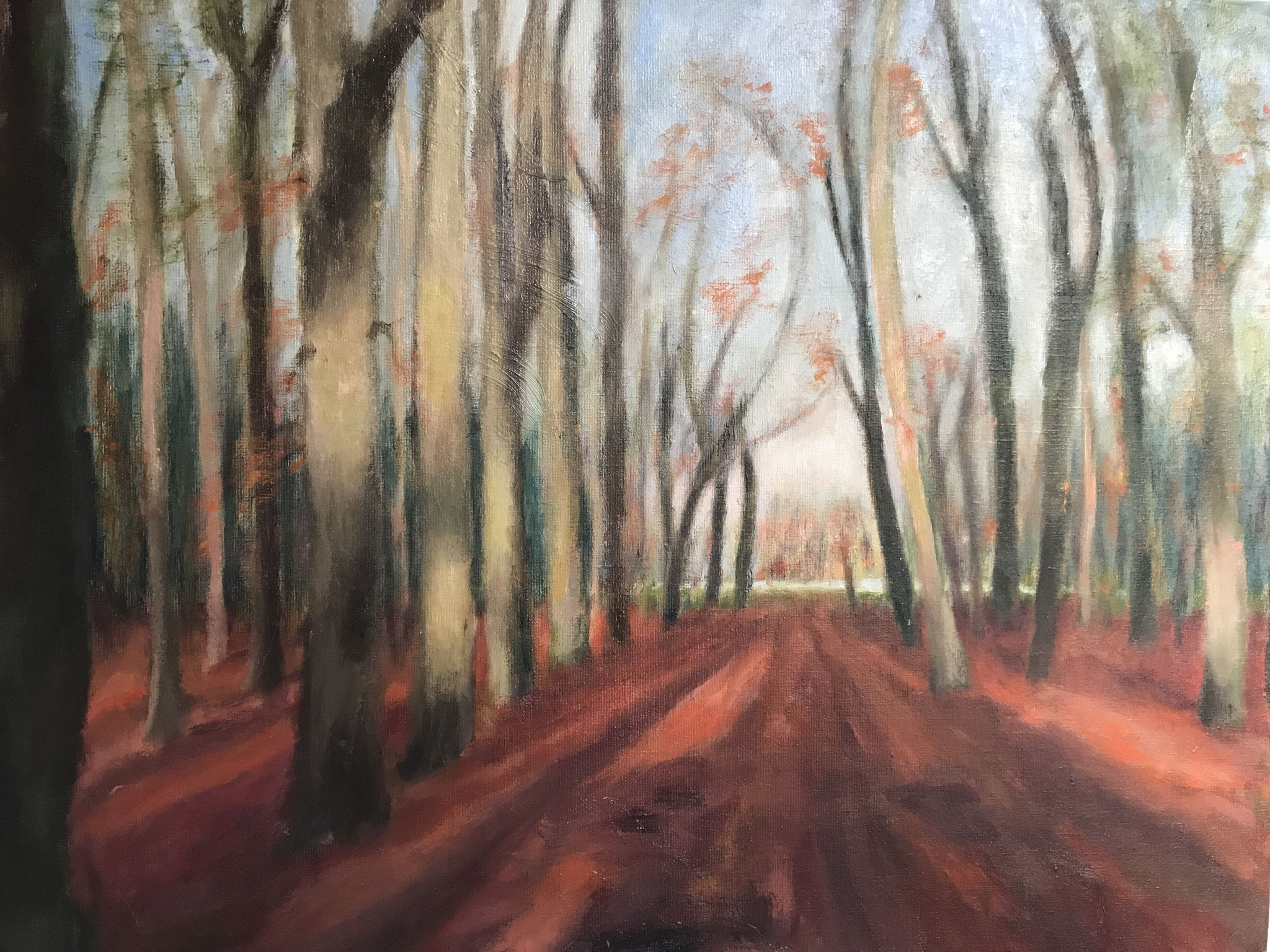 Bos in Hoge Vuursche. olie op linnen.  60x80cm. 