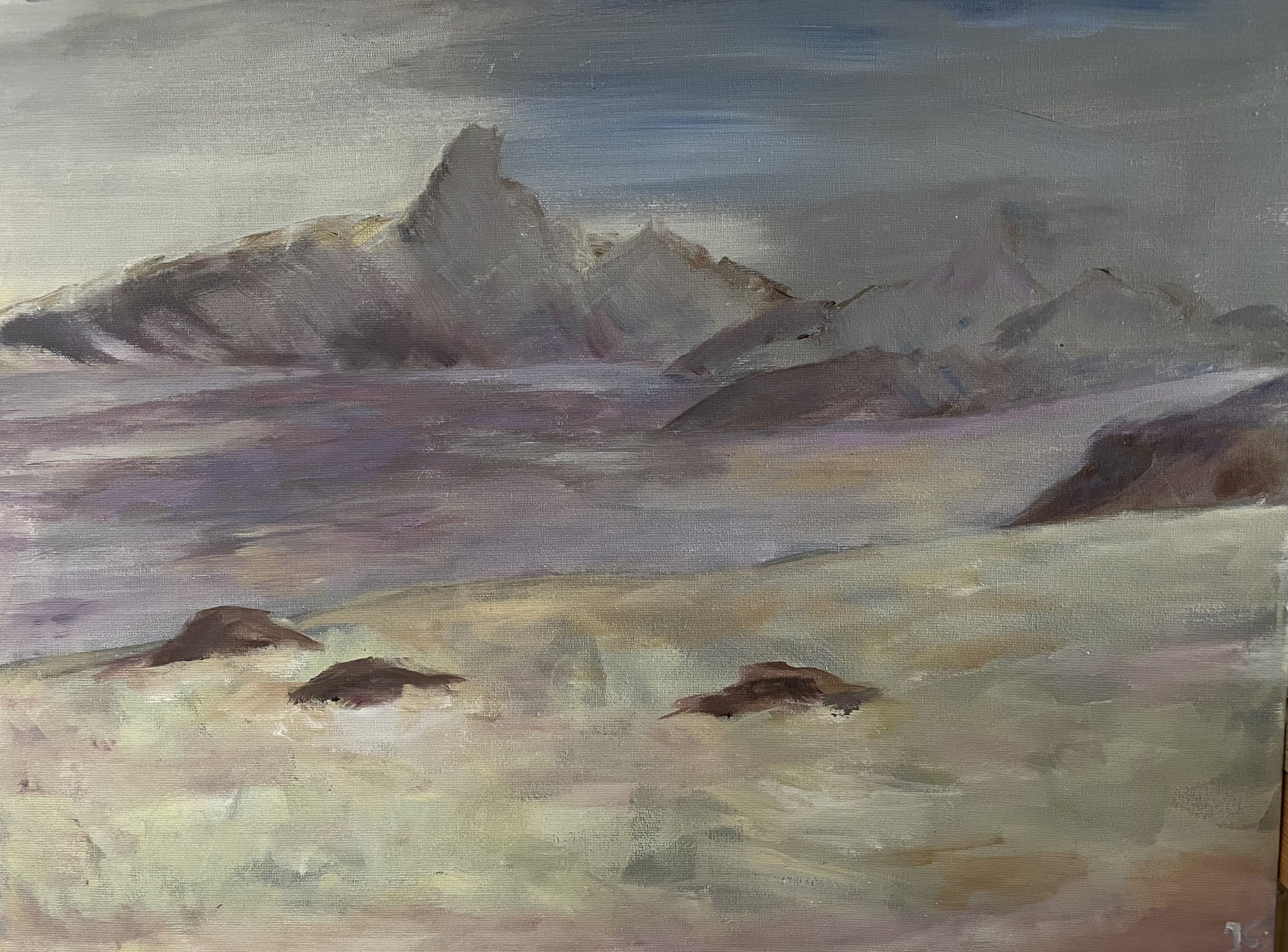 Sneeuwstorm. 60x80cm. acryl op doek. 