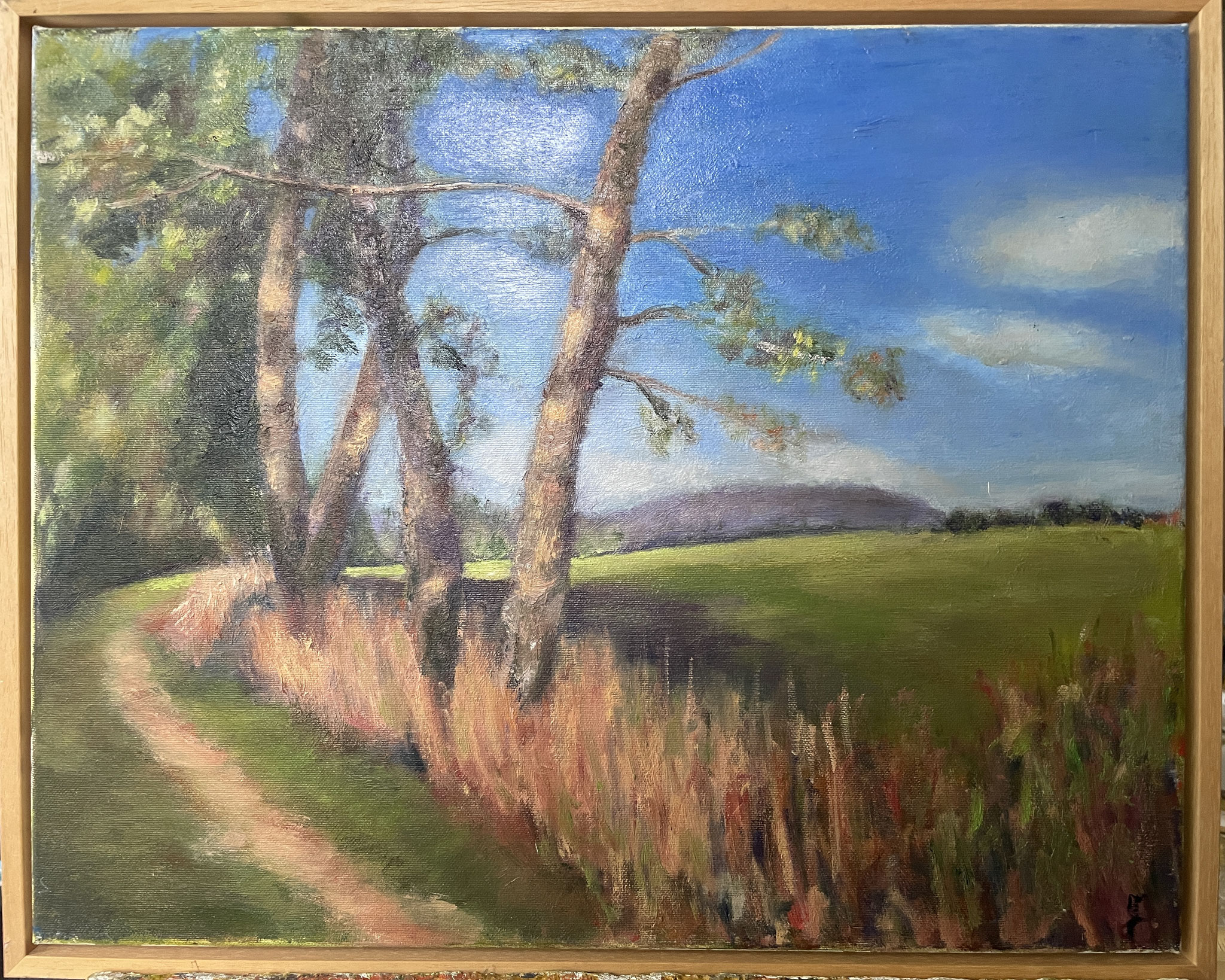 Langs berkenbomen. 40x50cm. olie op linnen. ntk.