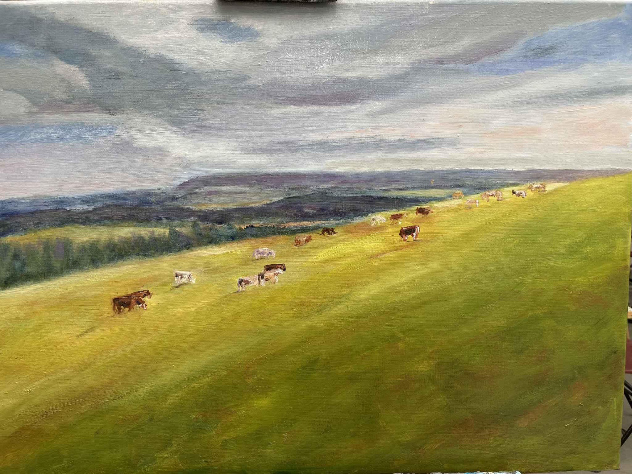 Boheemse Weiden 70x50cm olie op linnen. 400 euro