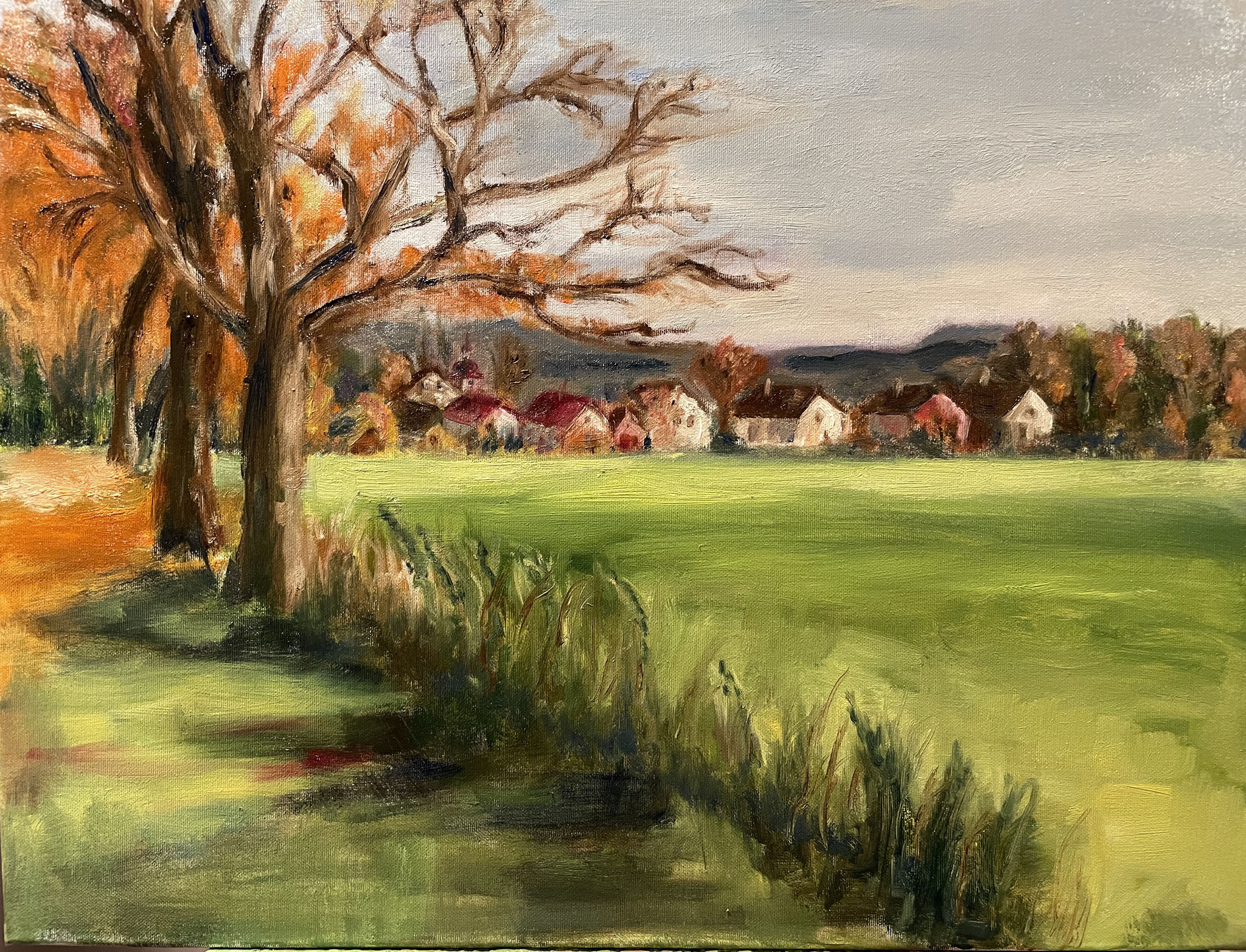 Zicht op dorp. 50x60cm. olie op linnen.