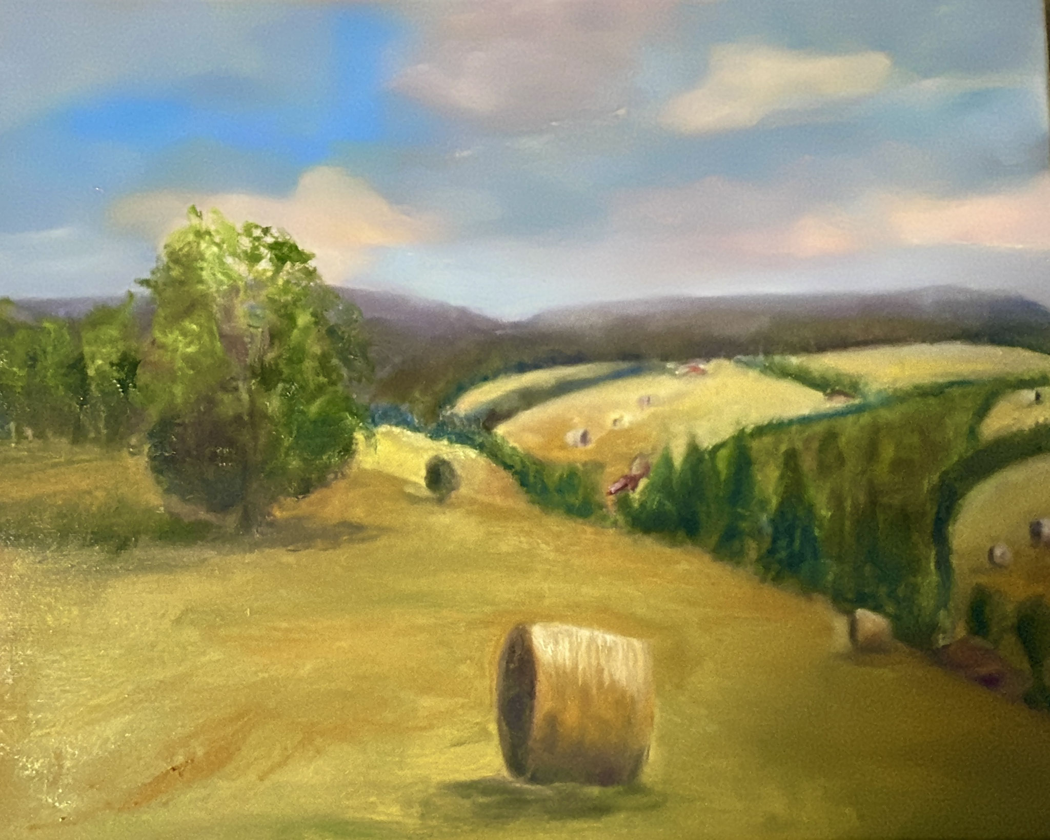 Boheemse zomer. 40x50cm. olie op doek.