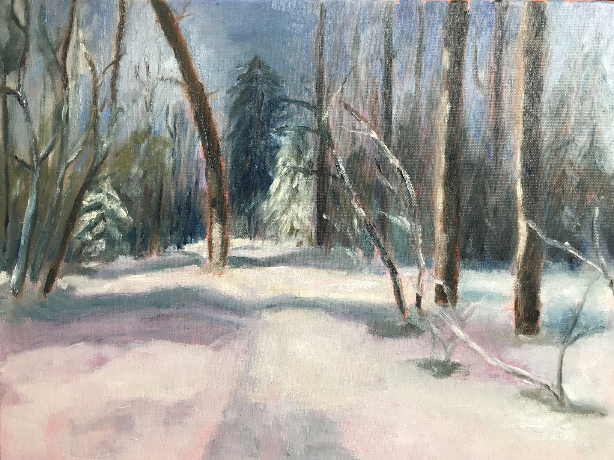 Smithuyserbos in Winter.70x50cm. olie op linnen. 
