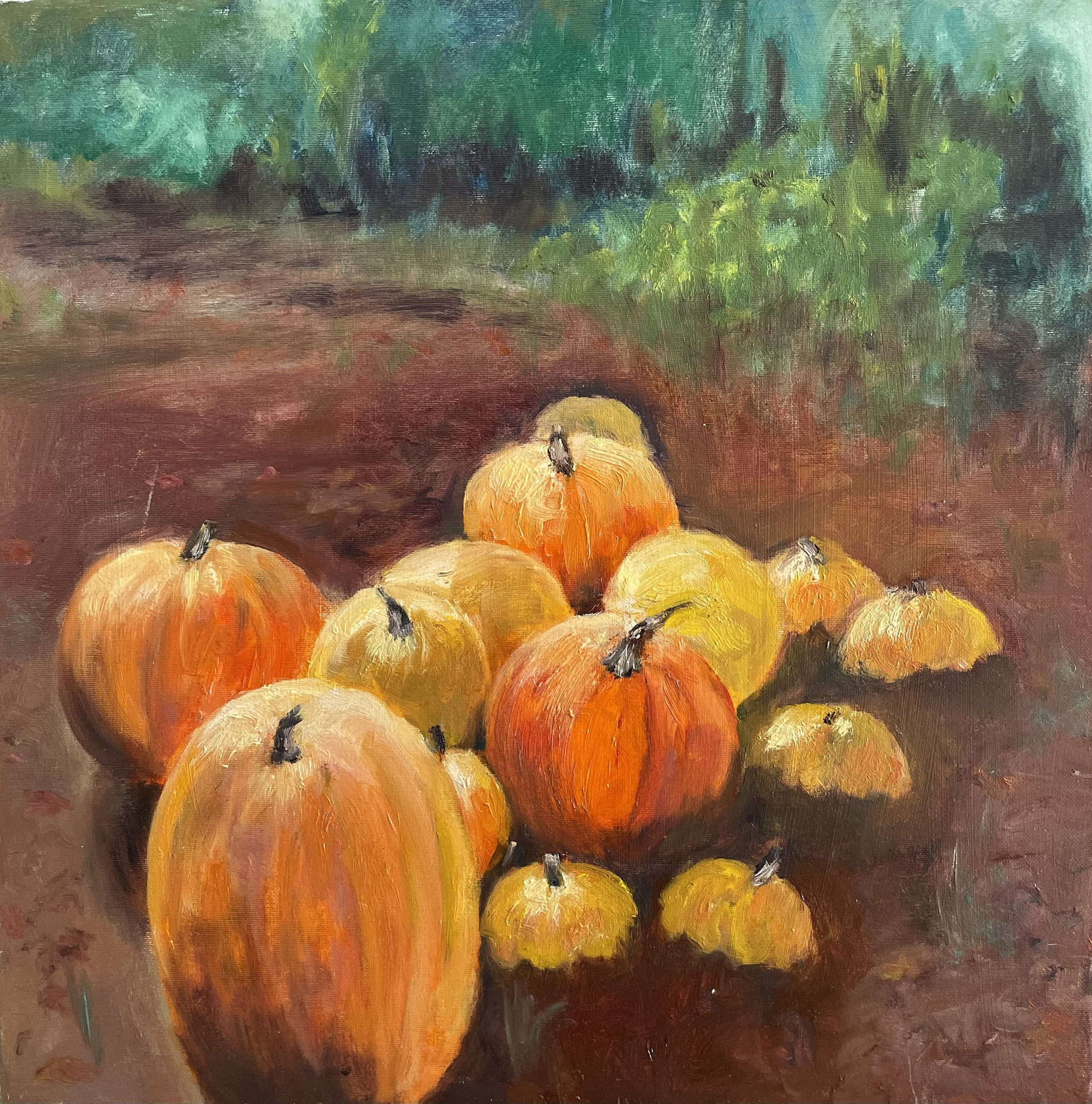 Pompoenen III. 50x50cm. olie op doek.