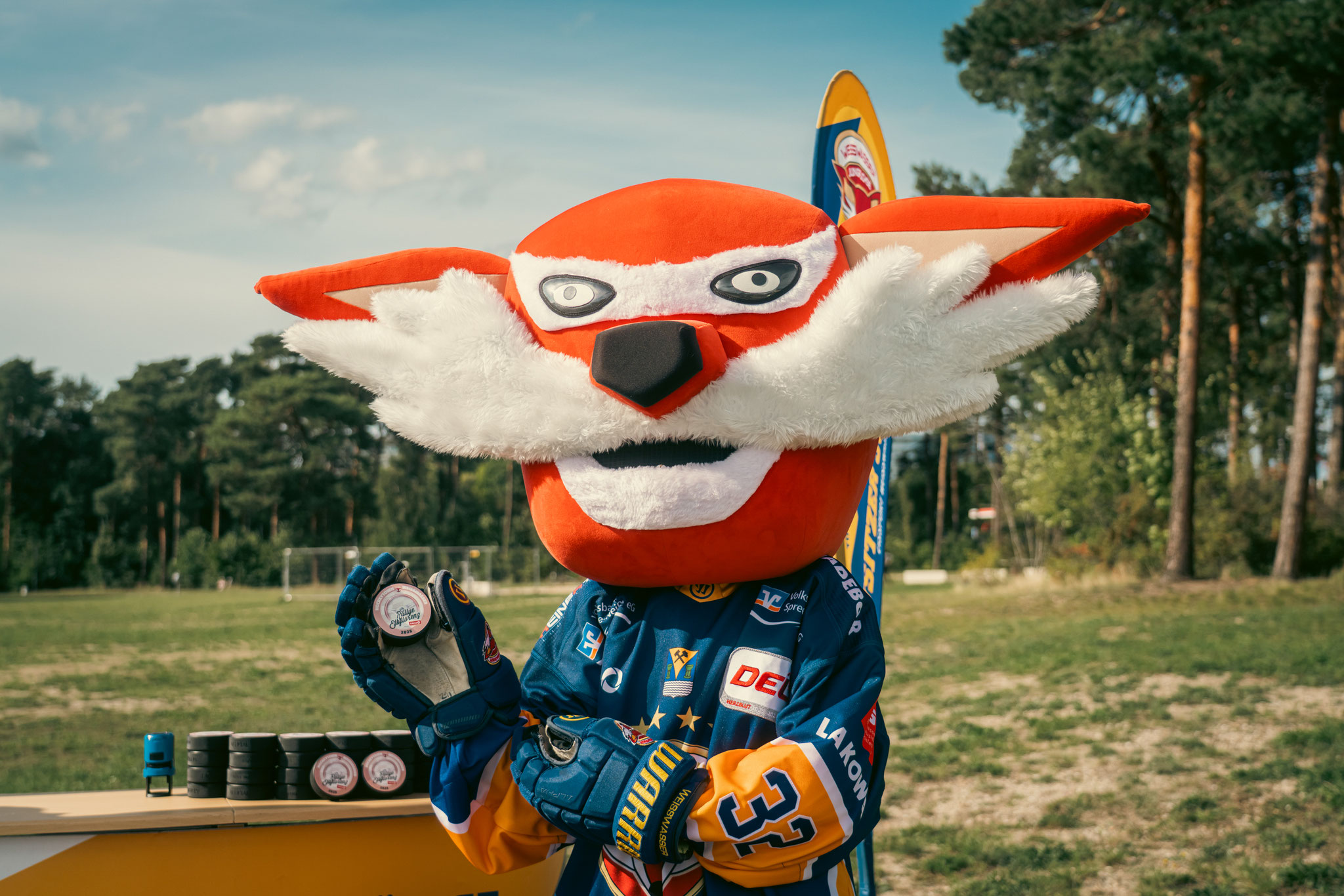Quelle: crossline media/Rallye Elbflorenz