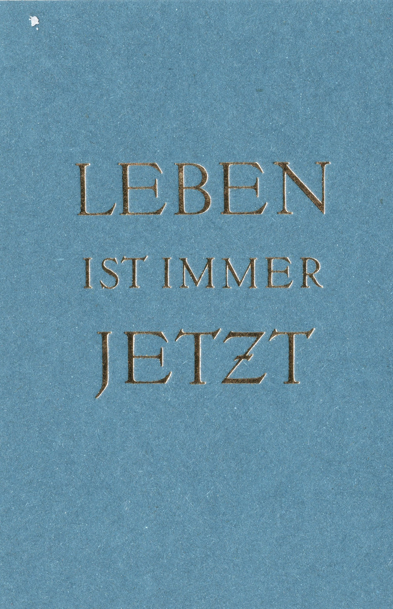 Leben blau C6