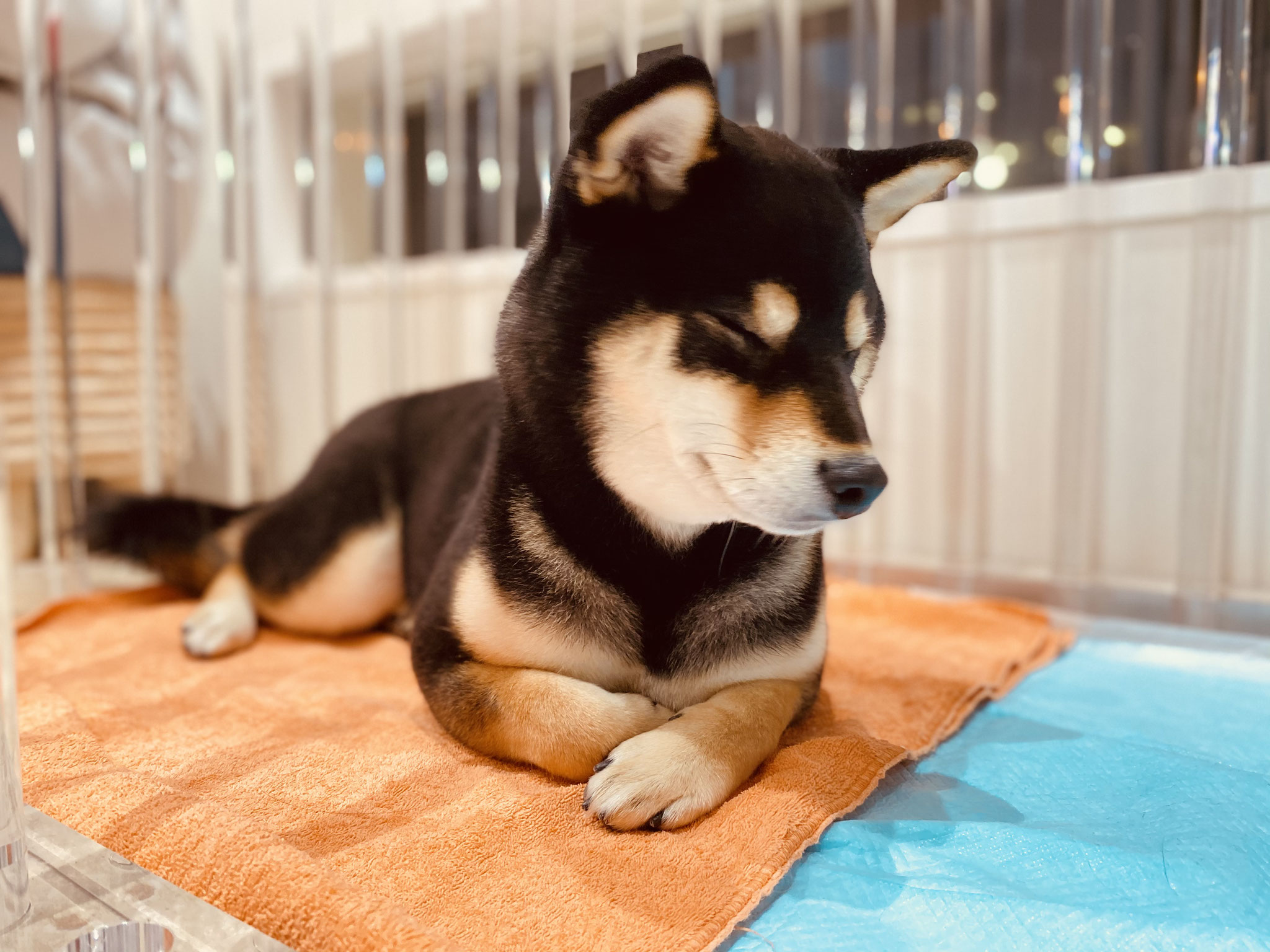 〜お店でもまったり〜