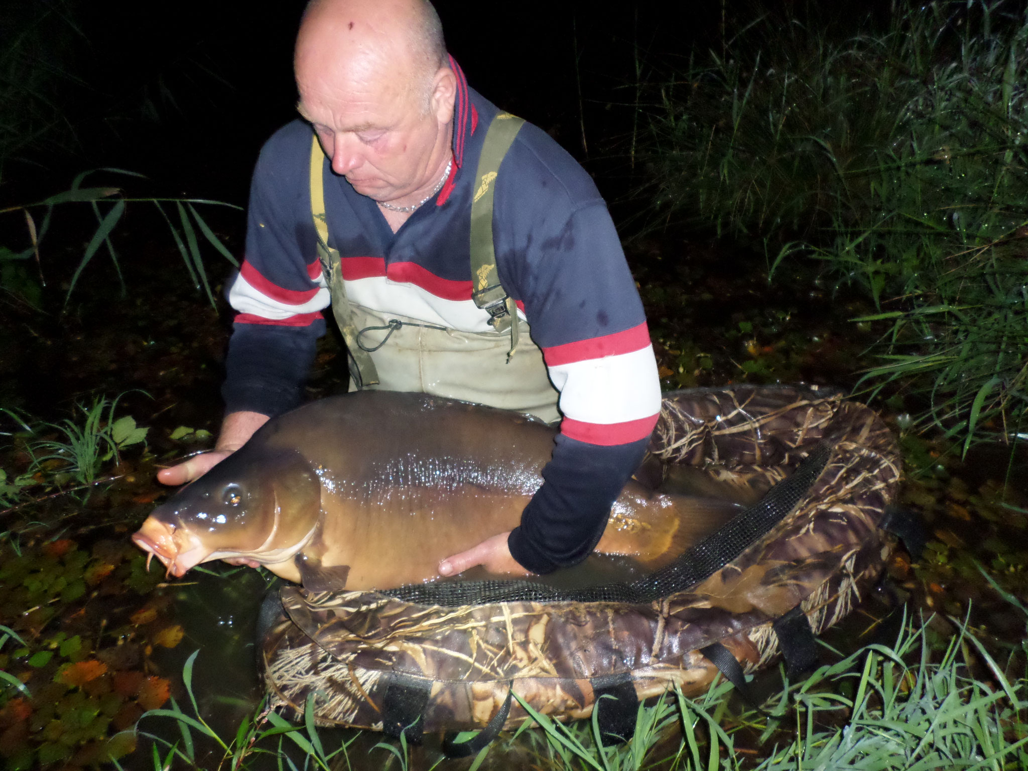 Etang de pêche à la carpe - Chêne-bernard - Pisciculture de la dorme - Jura