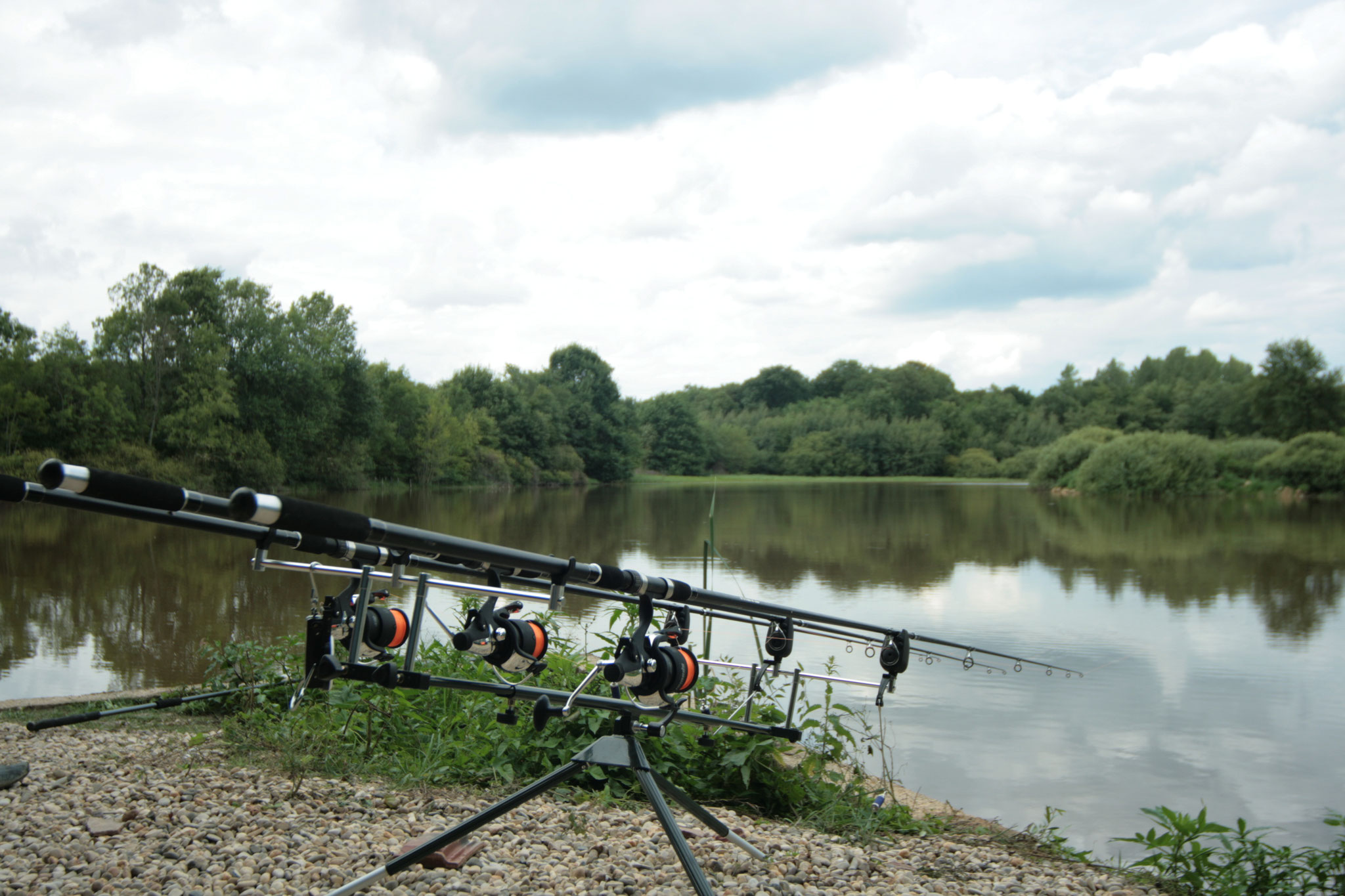 Etang de pêche à la carpe - Chêne-bernard - Pisciculture de la dorme - Jura