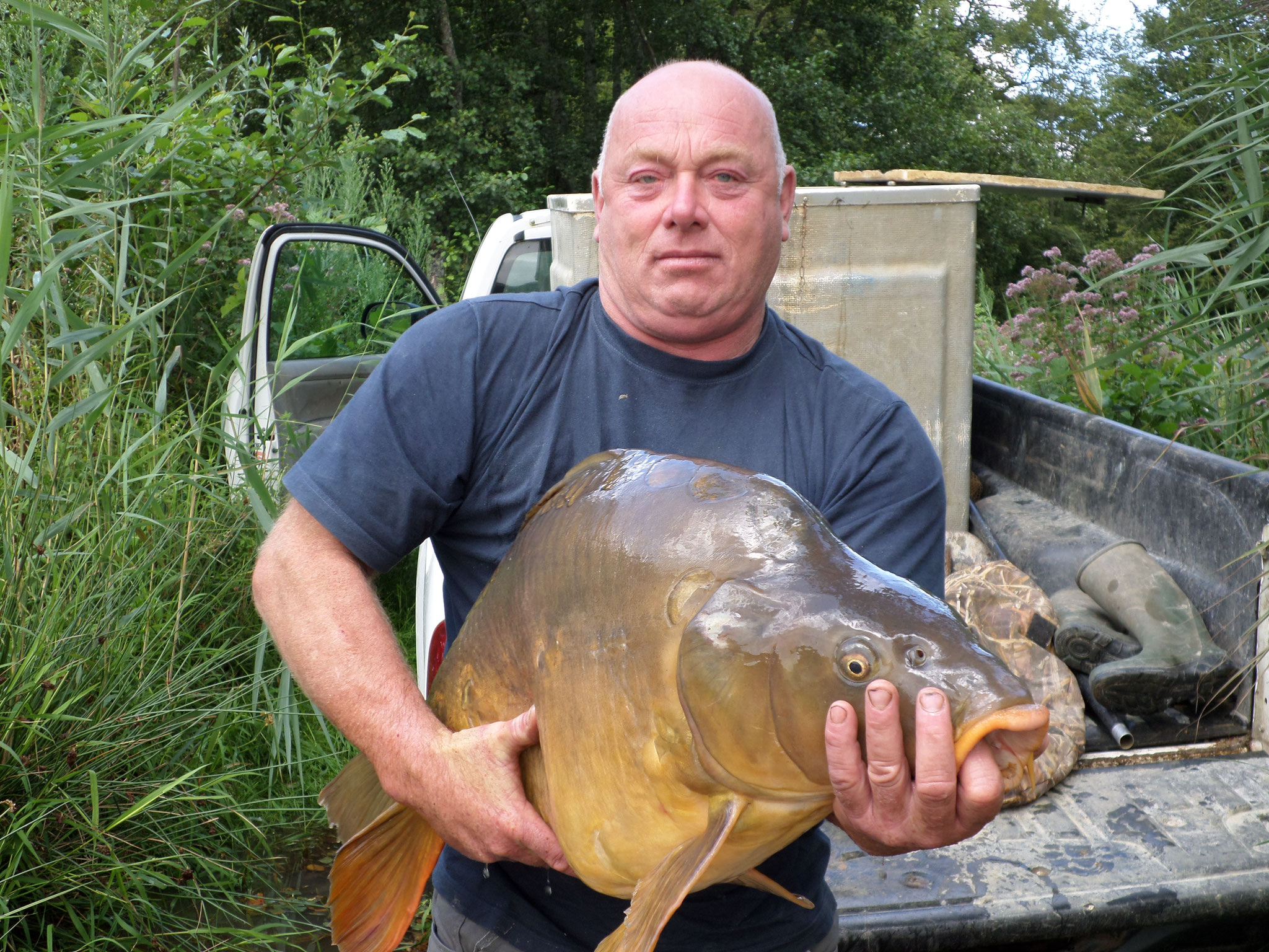 Etang de pêche à la carpe - Chêne-bernard - Pisciculture de la dorme - Jura