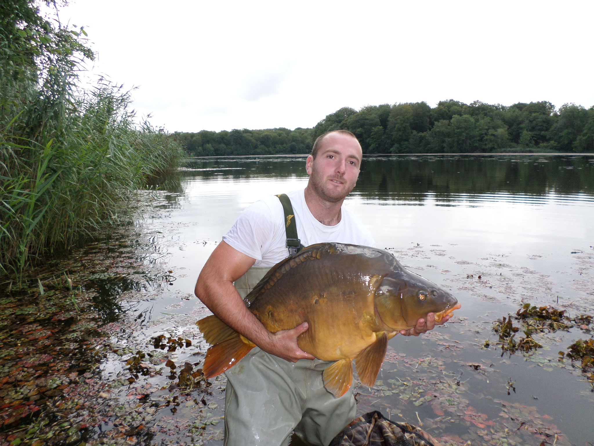 Etang de pêche à la carpe - Chêne-bernard - Pisciculture de la dorme - Jura