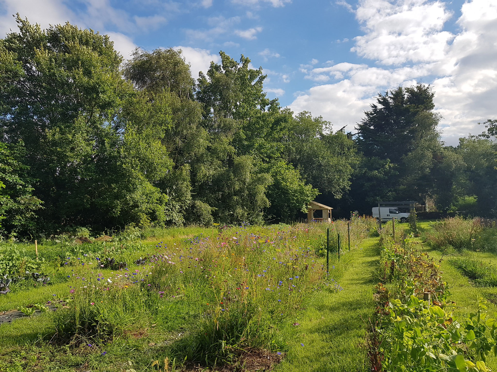 Jardins un matin d'été