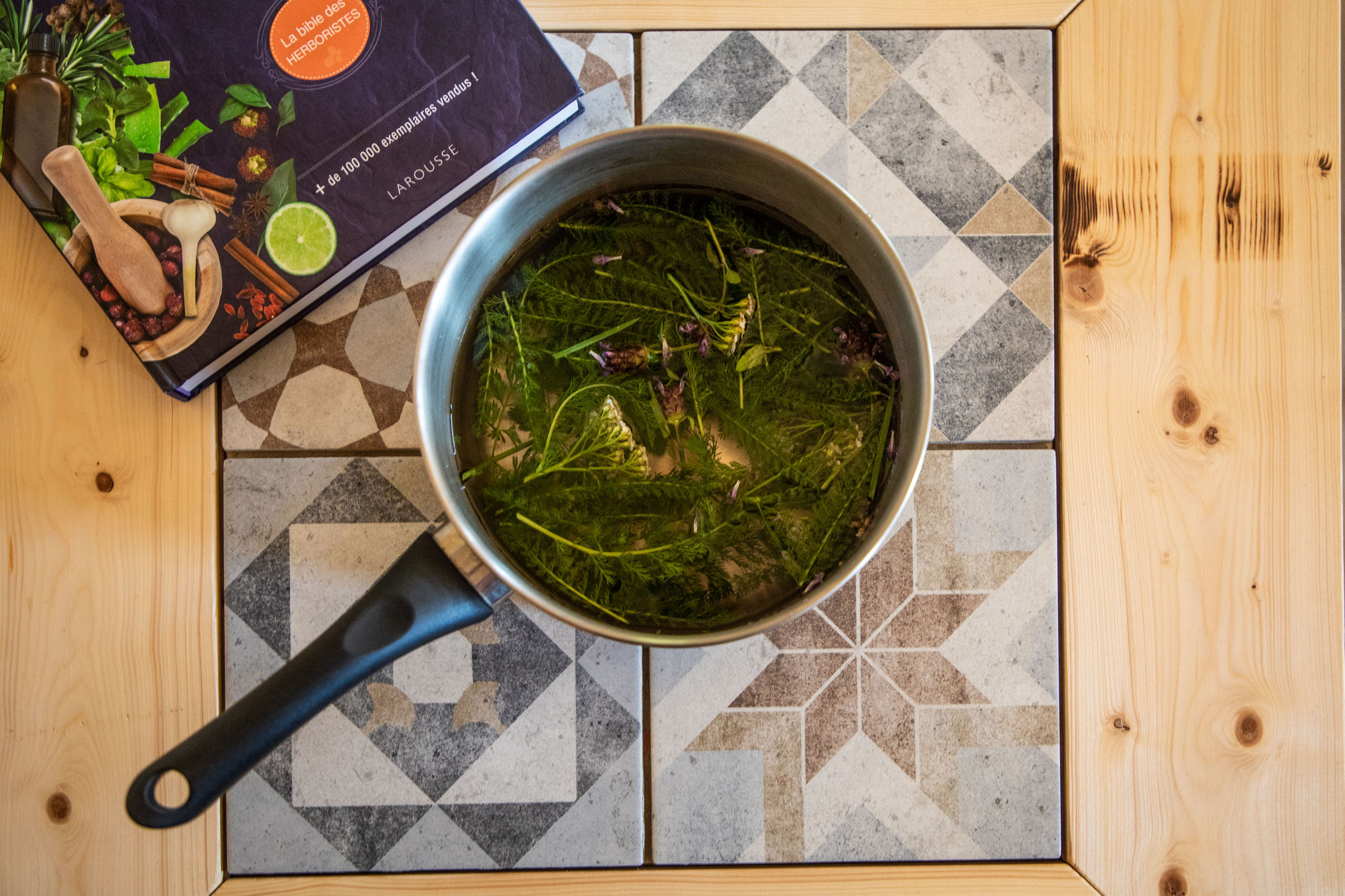 Tisane Achillée Millefeuille
