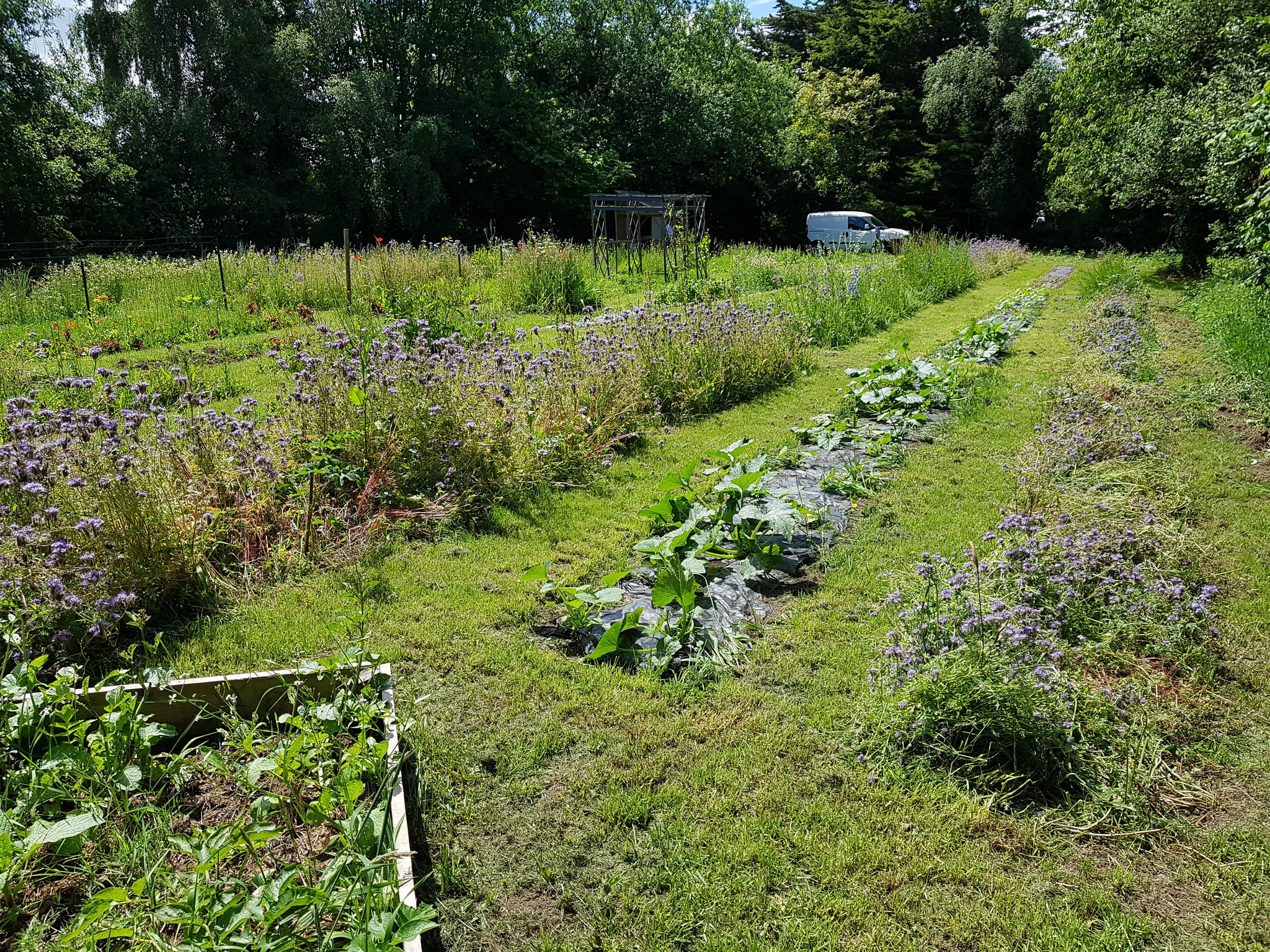Jardins