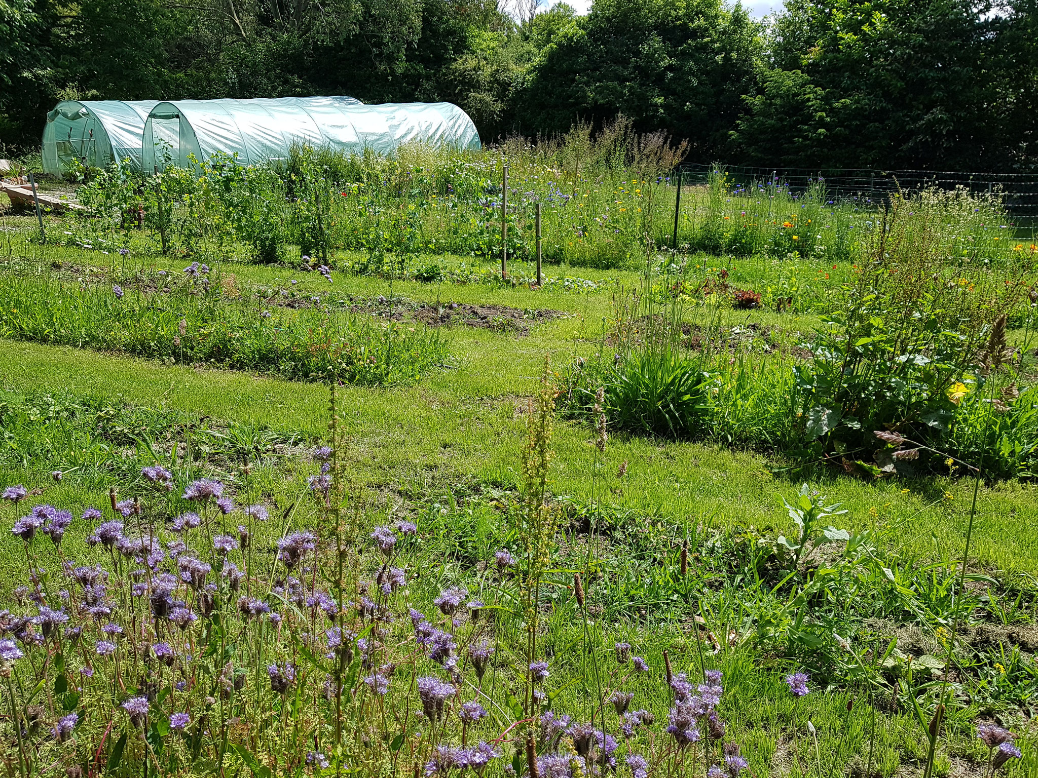 Les jardins