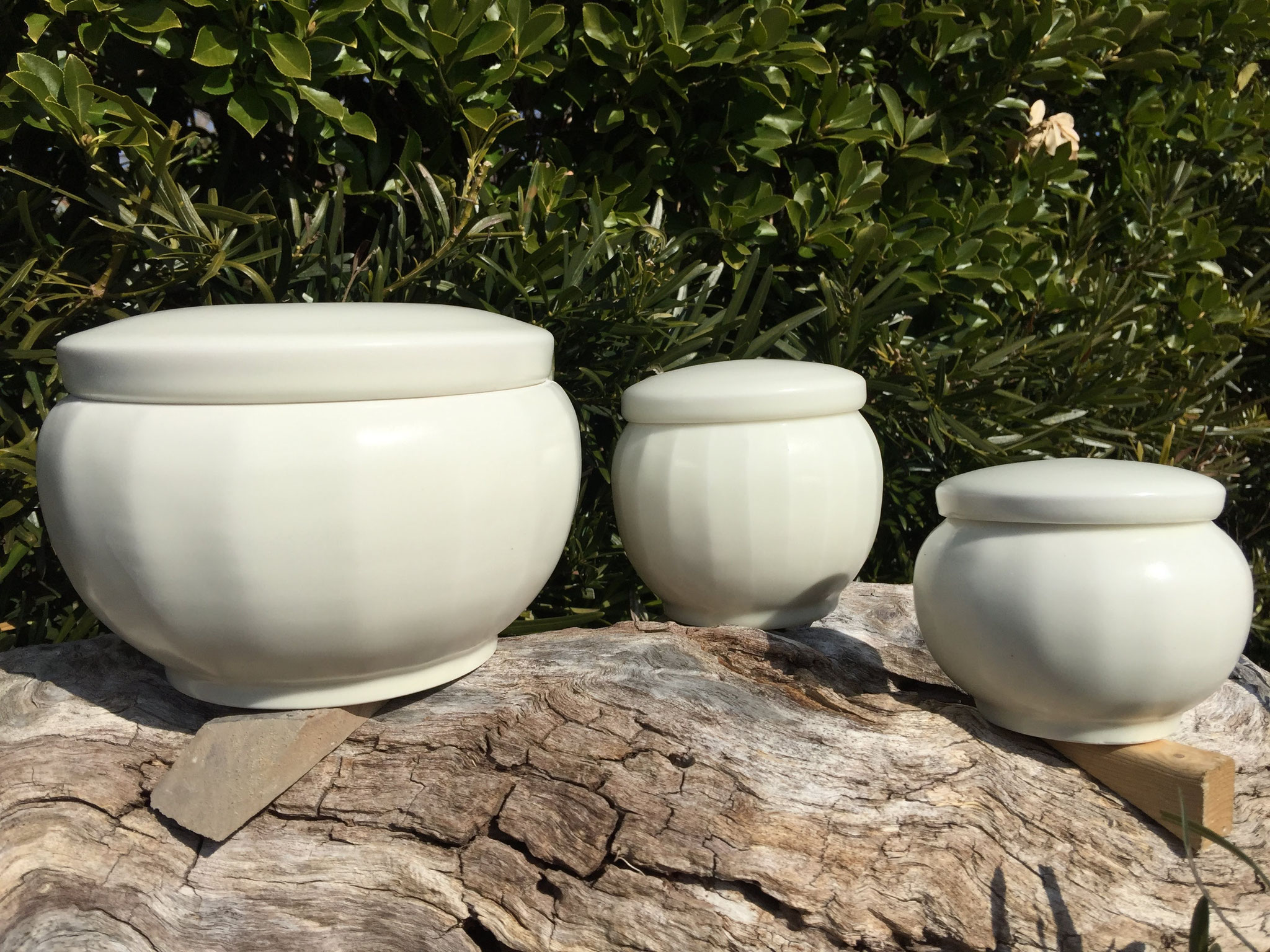 鈴木重孝 最新作から 鈴木重孝 陶磁の世界