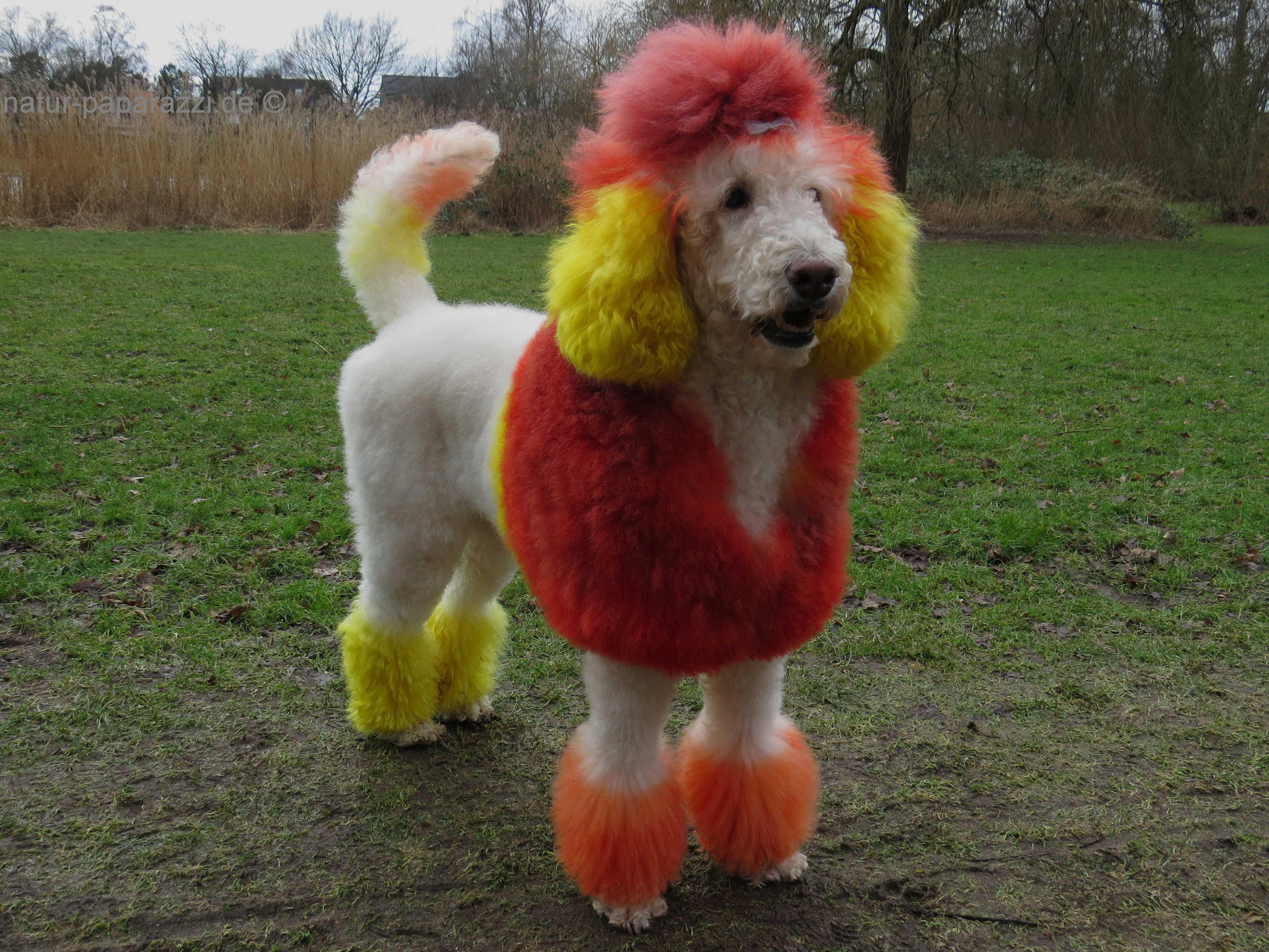 Keine Photoshoppanne!!!