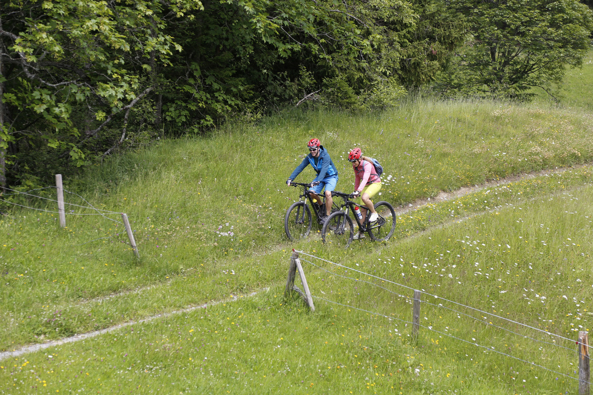 BIKETOUREN Intersport Grindelwald Bike Rental