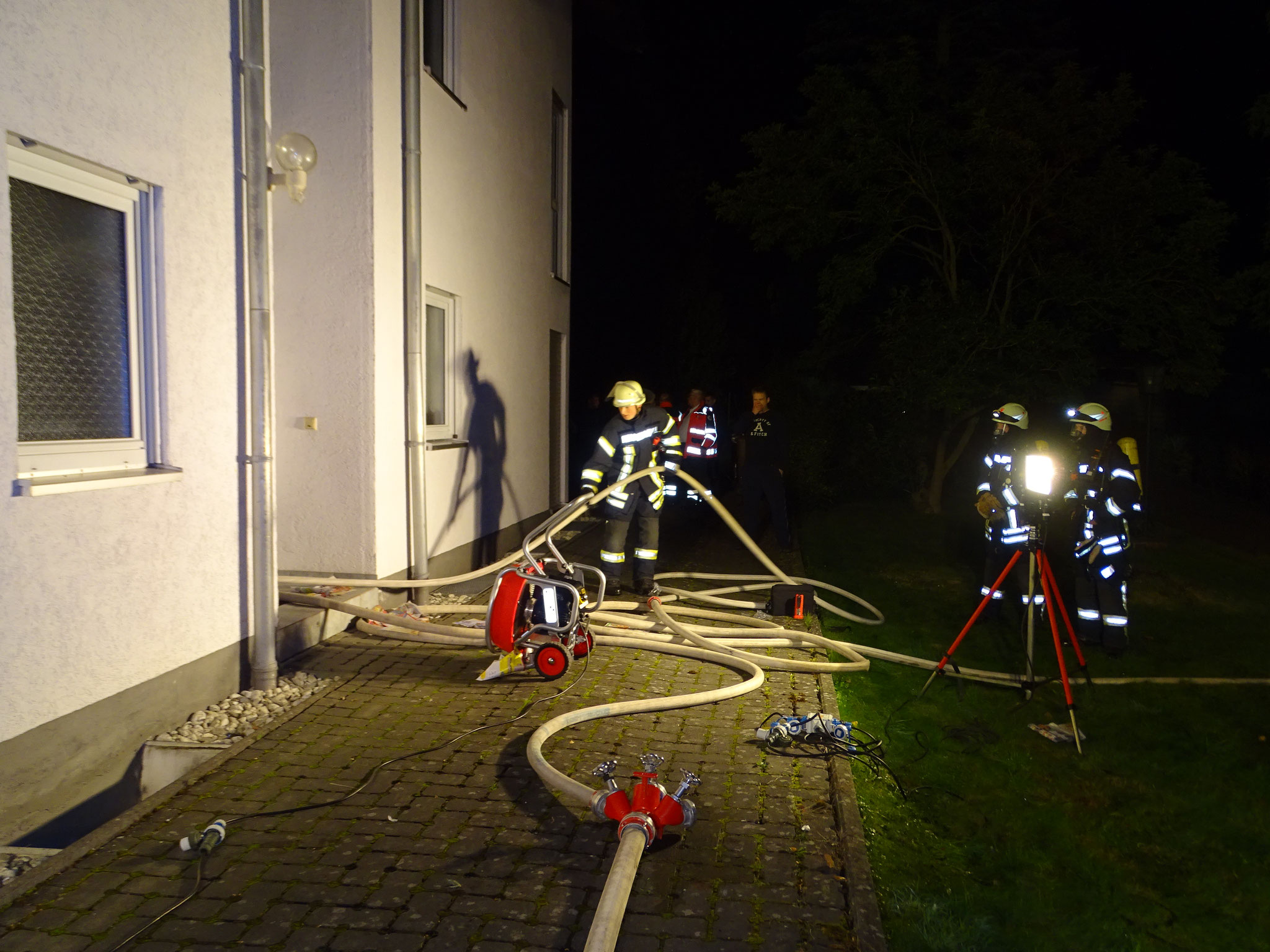 Brand in Linter 10.10.2016