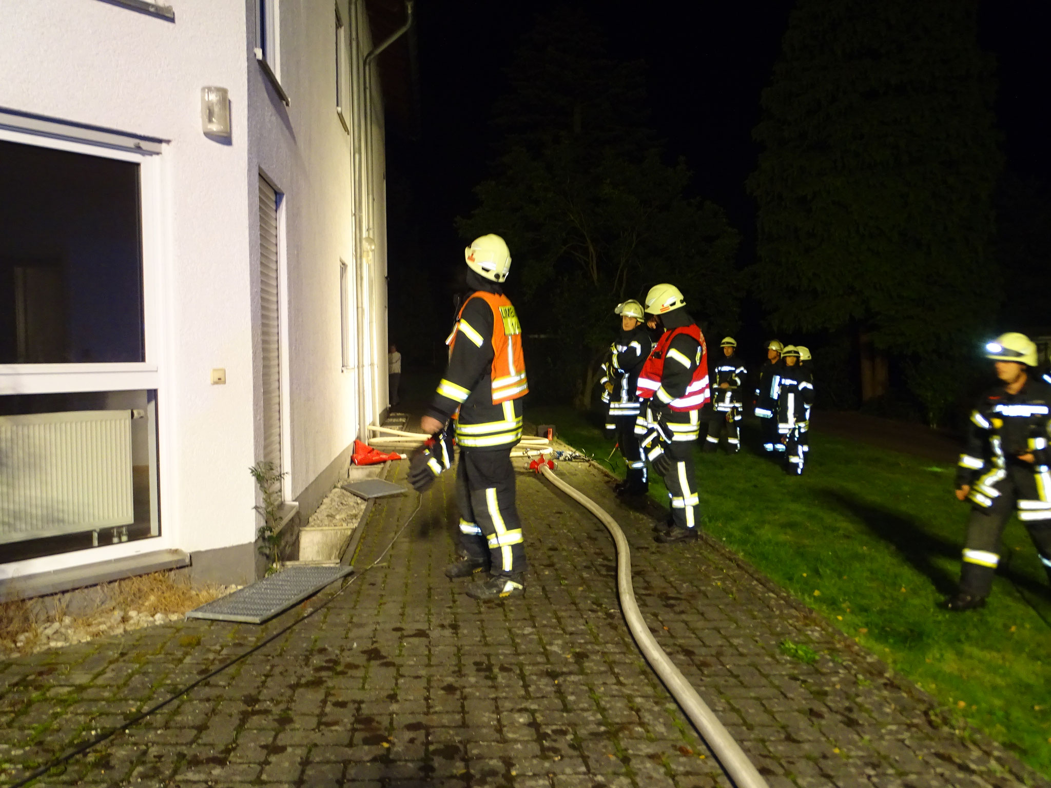 Brand in Linter 10.10.2016