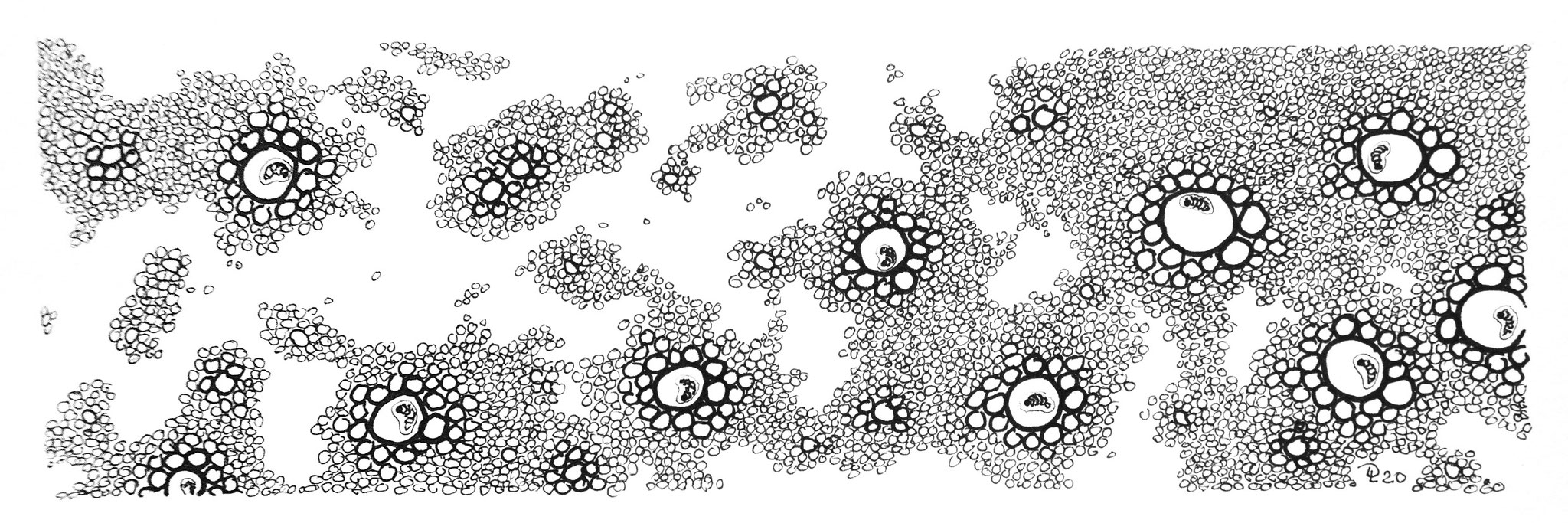 cluster 14 - Zeichnung Fineliner, 7/23 cm