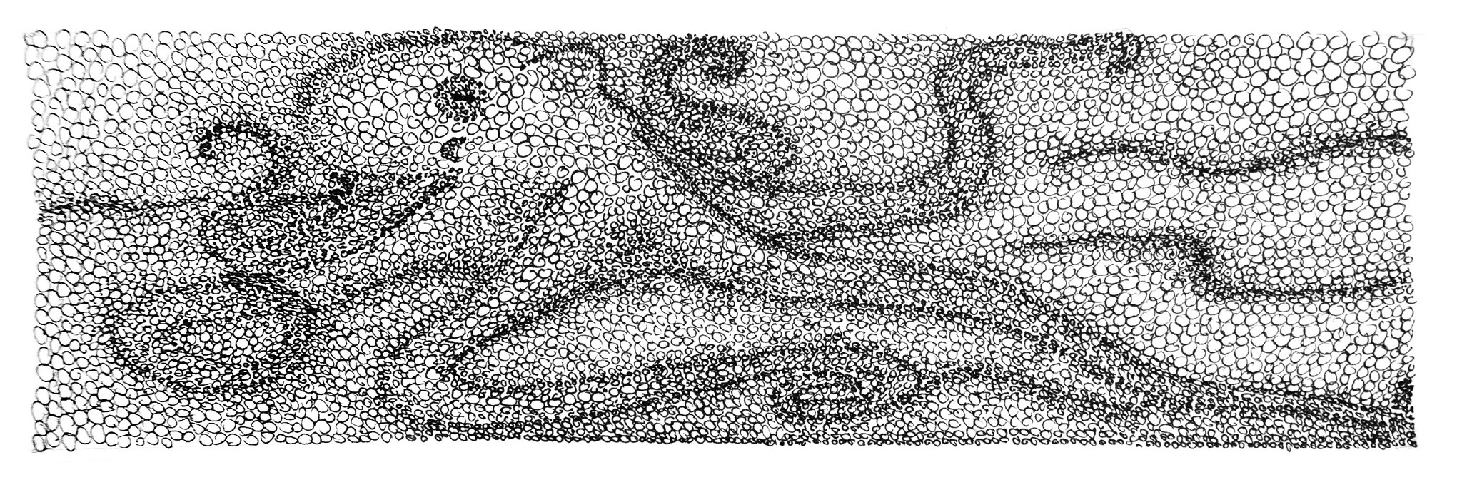 cluster Krake - Zeichnung Fineliner, 7/23 cm
