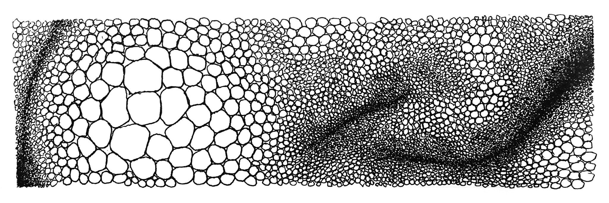 cluster 2 - Zeichnung Fineliner, 7/23 cm