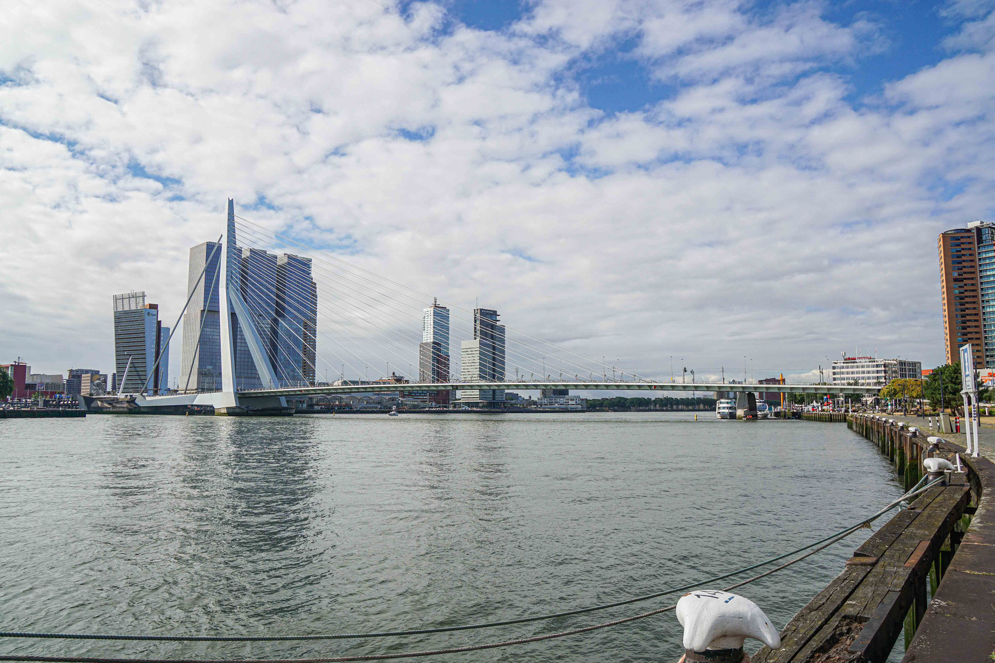 Blick auf die Erasmusbrücke in Rotterdam