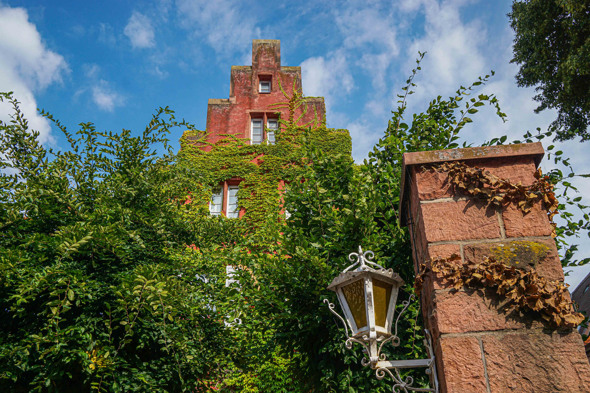 Hier in Miltenberg gibt es viel grün