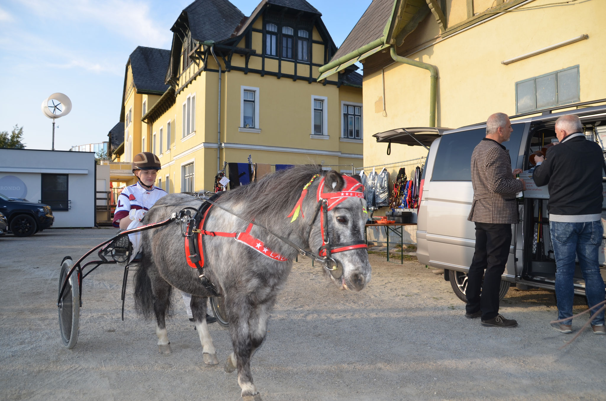 Mit Ponys beginnt die Liebe zu den Pferden. Ein nicht zu durchbrechender Zustand der Liebe beginnt