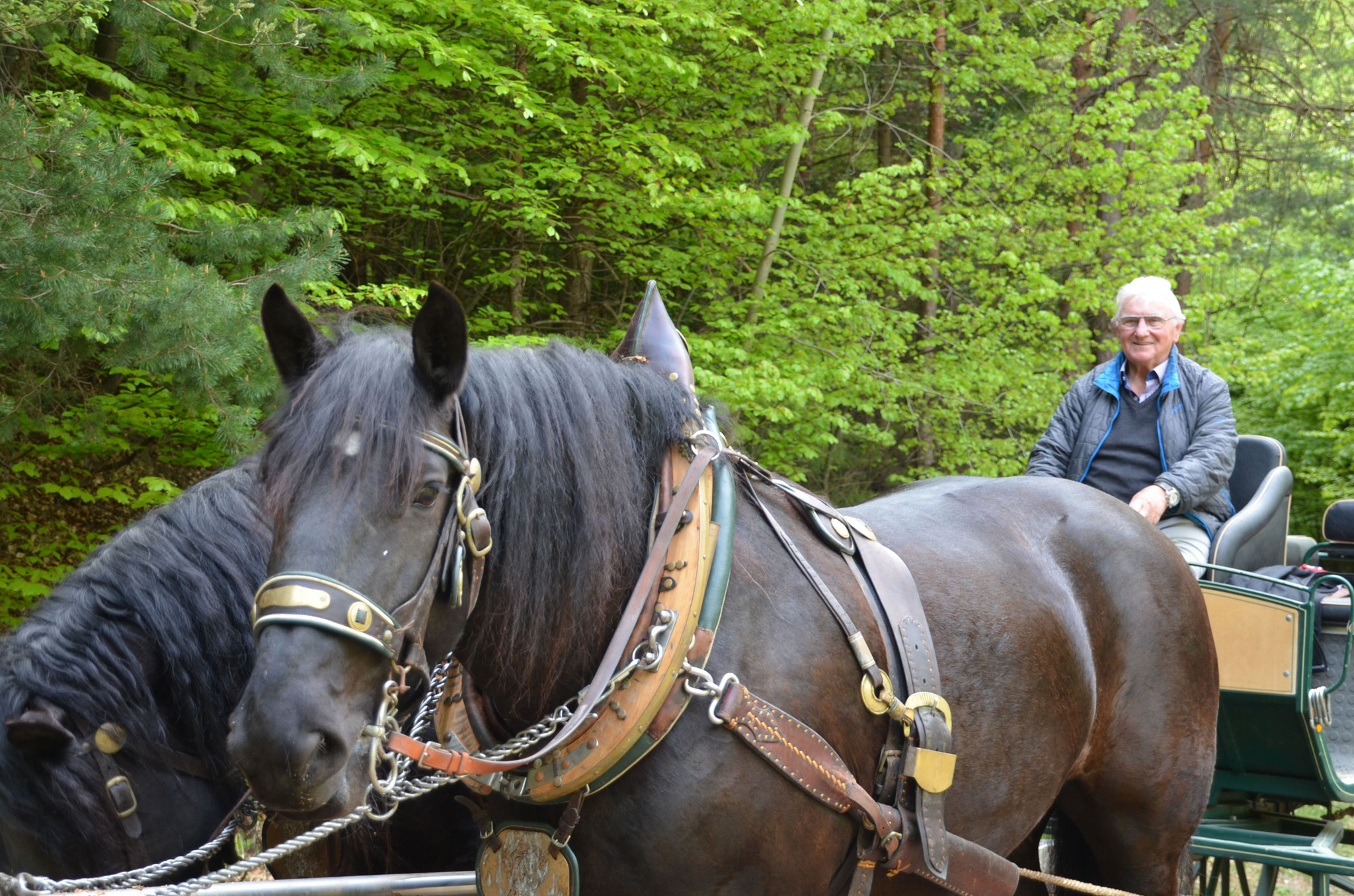 In der Erinnerung an die harte Arbeit im Wald, hat mein Vater bis ins hohe Alter seine Touren duch den Wienerwald genossen