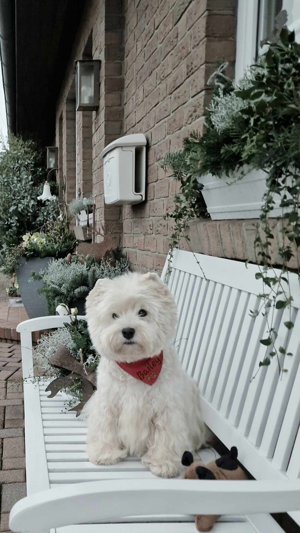 Bailey 06.12.2022
