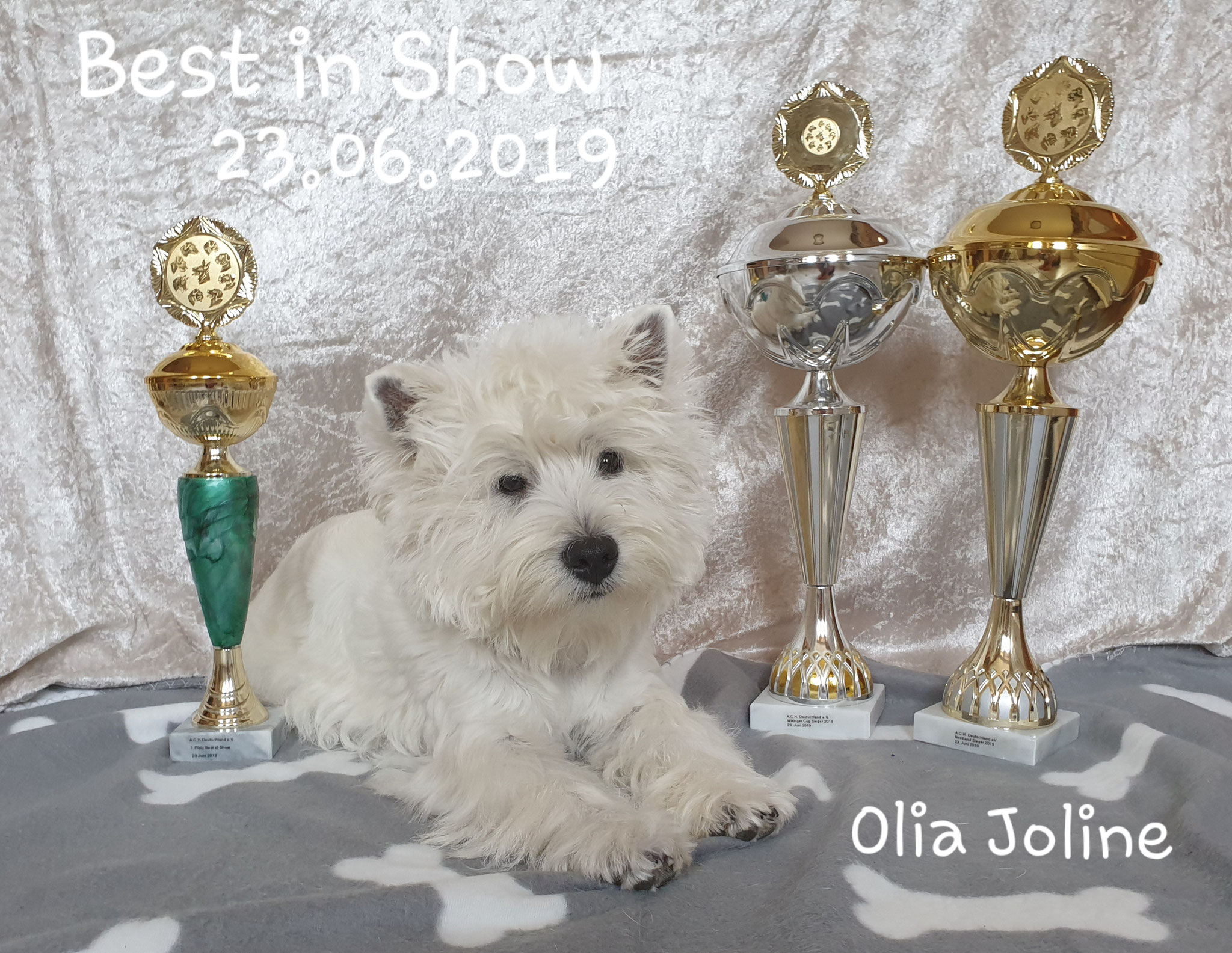 Olia Joline "Best in Show" 06/2019