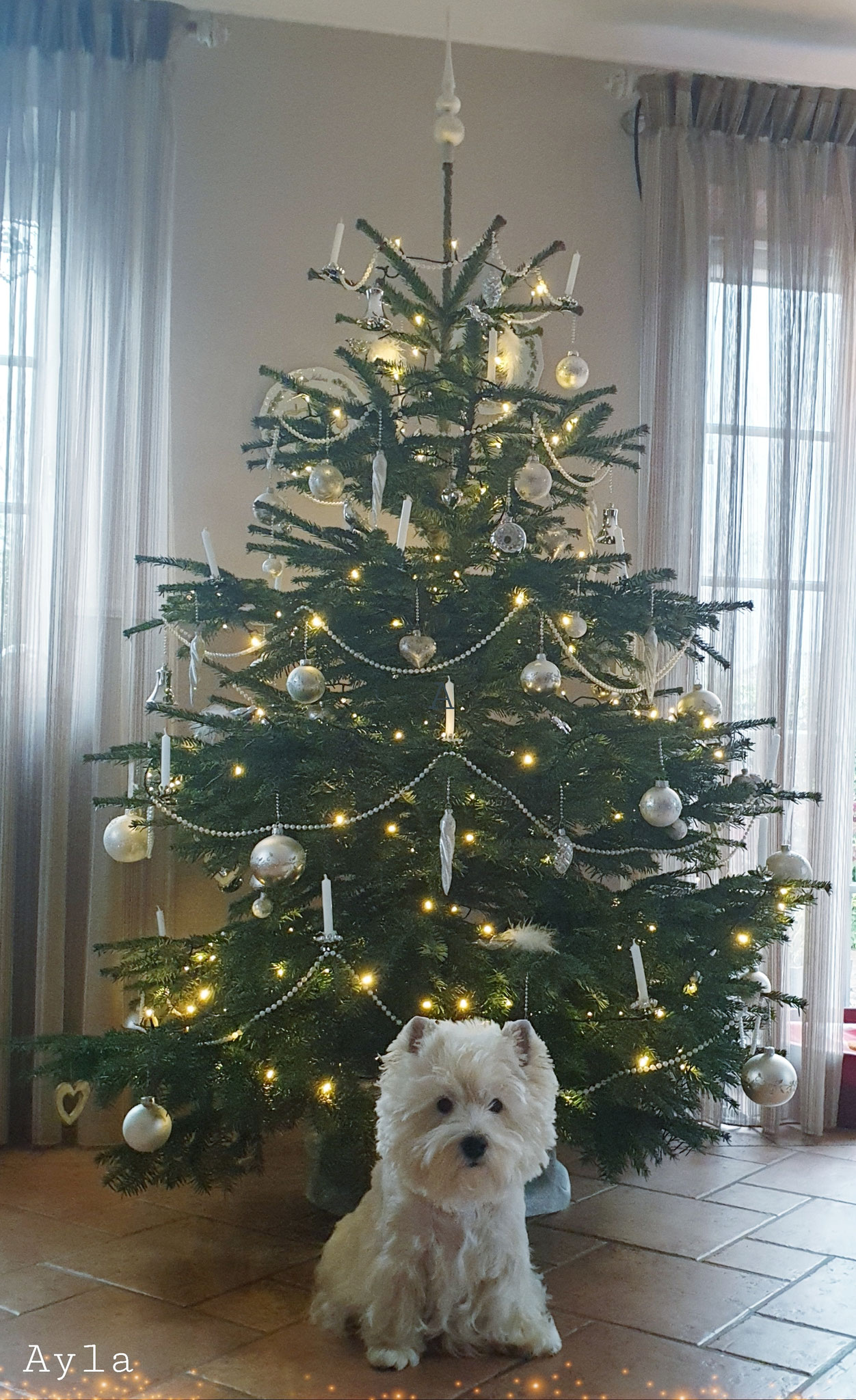 Ayla Weihnachten 2019