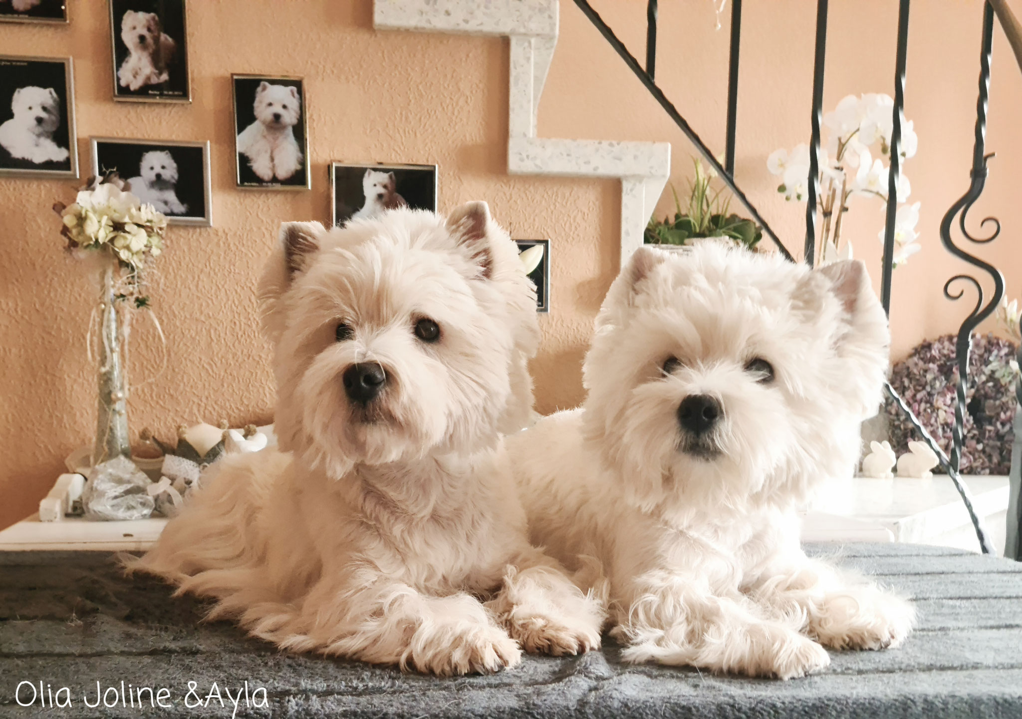 Olia Joline & Ayla 03/2021